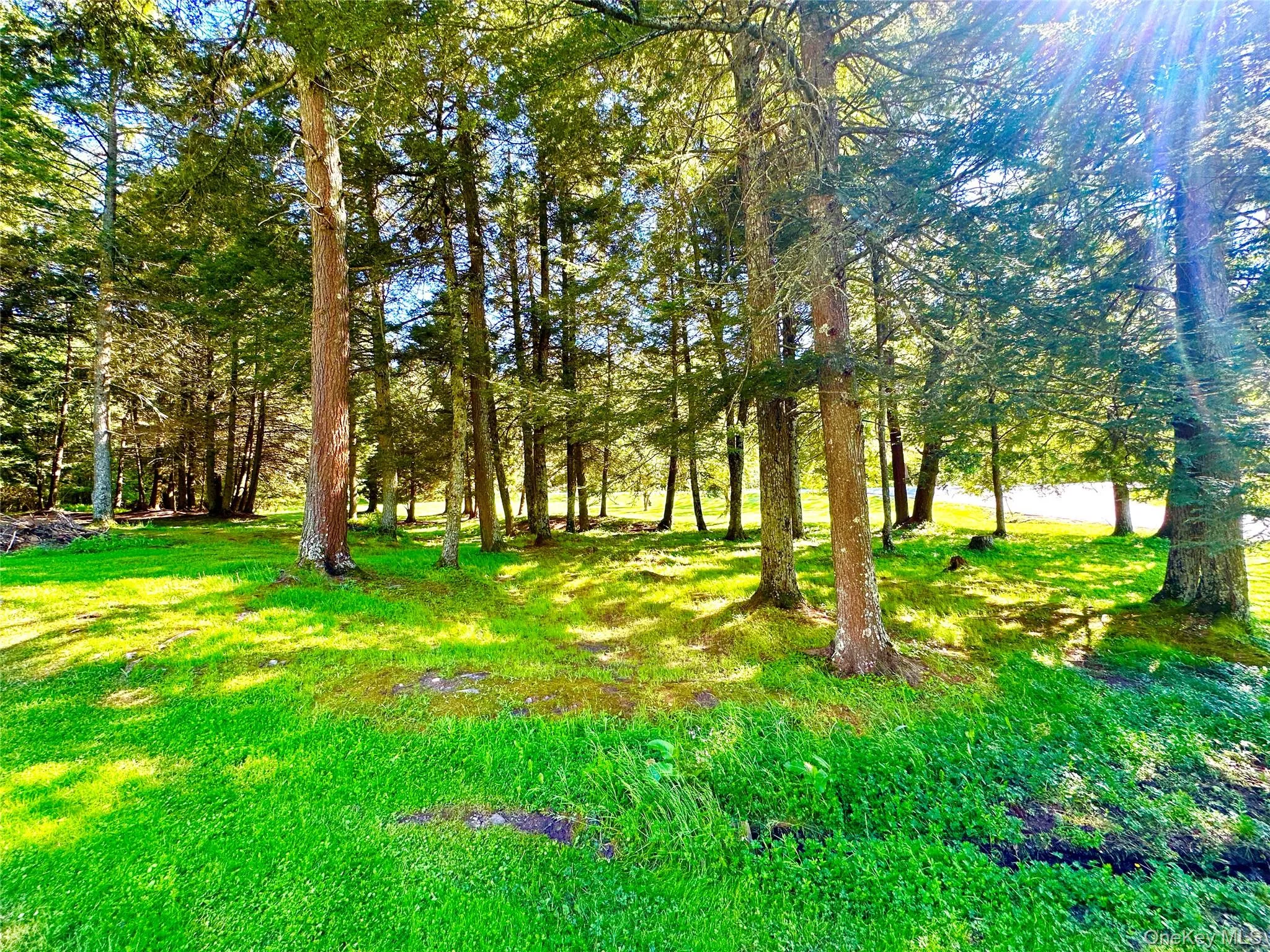 12 Mesmer, Delaware, NY, 3 Bedrooms Bedrooms, 6 Rooms Rooms,2 BathroomsBathrooms,Residential,For Rent,Mesmer,0,1005698 12 Mesmer, Delaware, NY, 3 Bedrooms Bedrooms, 6 Rooms Rooms,2 BathroomsBathrooms,Residential,For Rent,Mesmer,0,1005698
