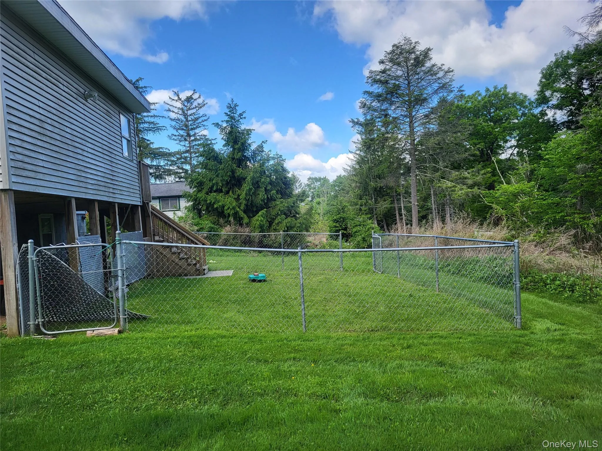 Fenced in dog run Fenced in dog run