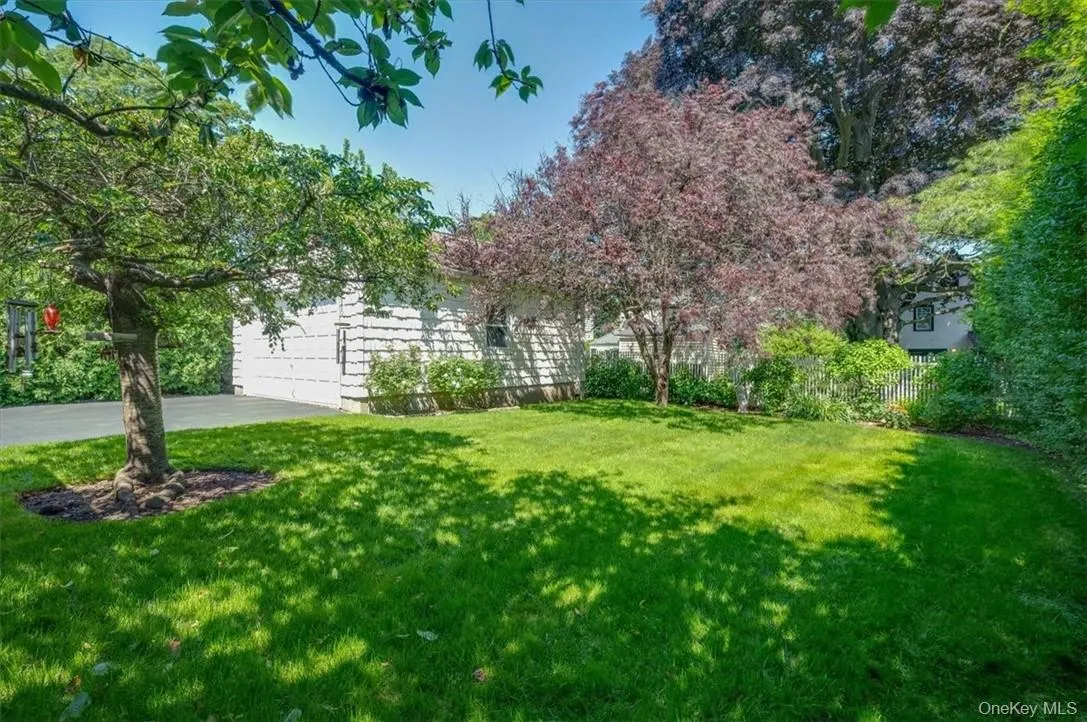 Backyard Backyard