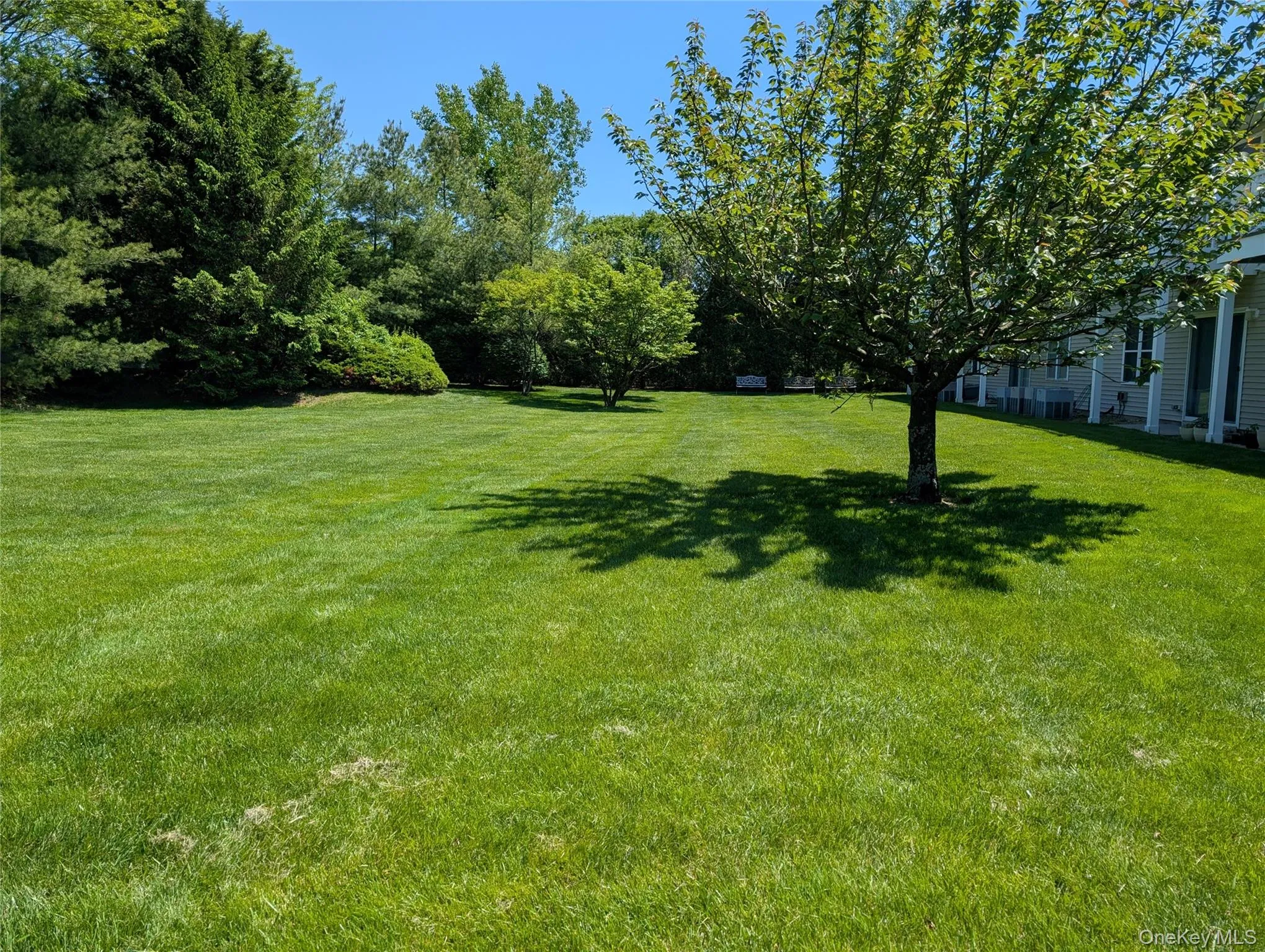 Back Yard With Expansive lawn area featuring multiple mature trees and varied evergreen landscaping along the perimeter Back Yard With Expansive lawn area featuring multiple mature trees and varied evergreen landscaping along the perimeter