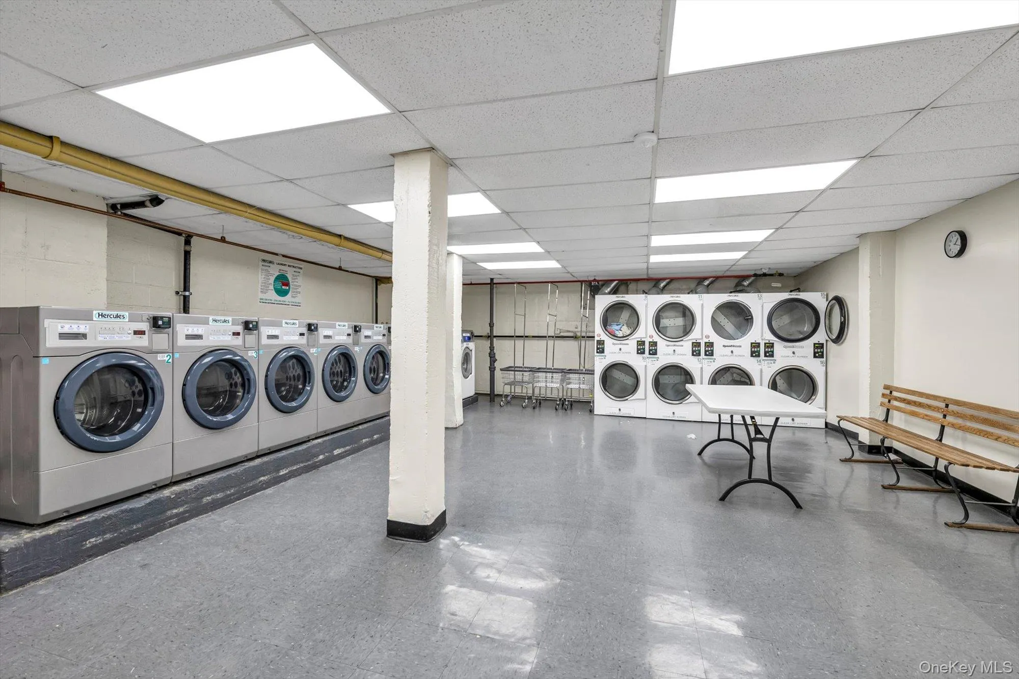 4225 80th Street, New York, NY, 1 Bedroom Bedrooms, 3 Rooms Rooms,1 BathroomBathrooms,Residential,For Rent,80th,0,1005841 4225 80th Street, New York, NY, 1 Bedroom Bedrooms, 3 Rooms Rooms,1 BathroomBathrooms,Residential,For Rent,80th,0,1005841