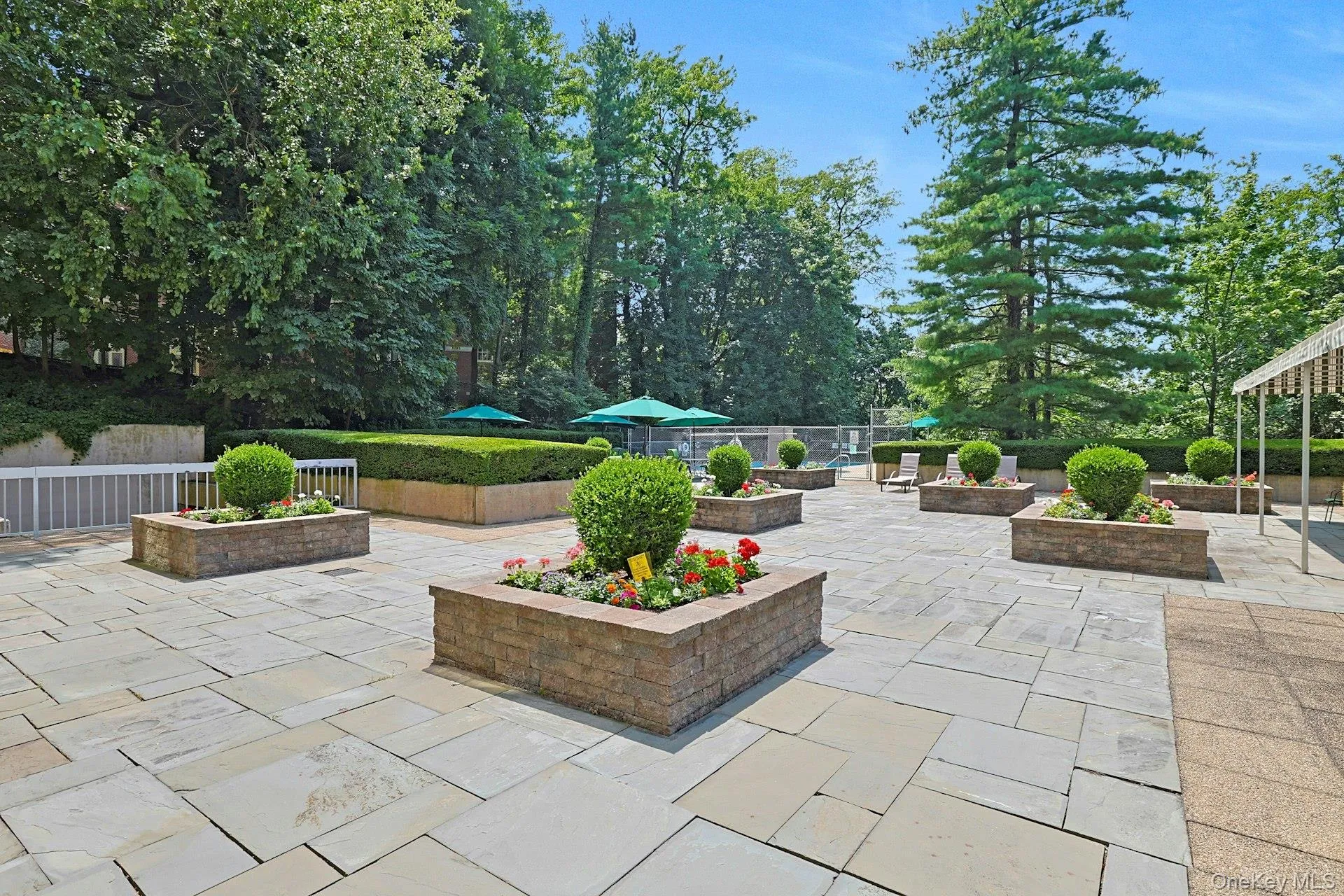 patio patio