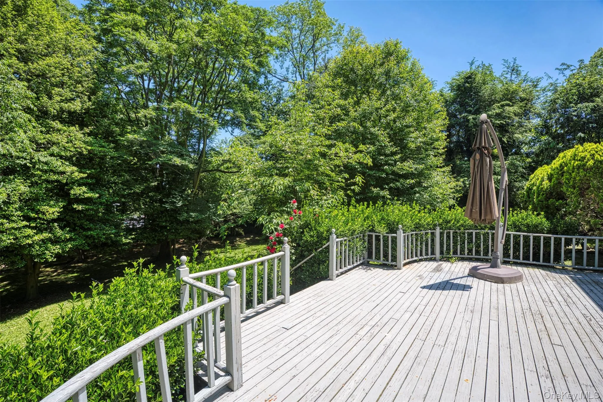 49 The Birches, North Hempstead, NY, 4 Bedrooms Bedrooms, 8 Rooms Rooms,3 BathroomsBathrooms,Residential,For Rent,The Birches,0,1005886 49 The Birches, North Hempstead, NY, 4 Bedrooms Bedrooms, 8 Rooms Rooms,3 BathroomsBathrooms,Residential,For Rent,The Birches,0,1005886