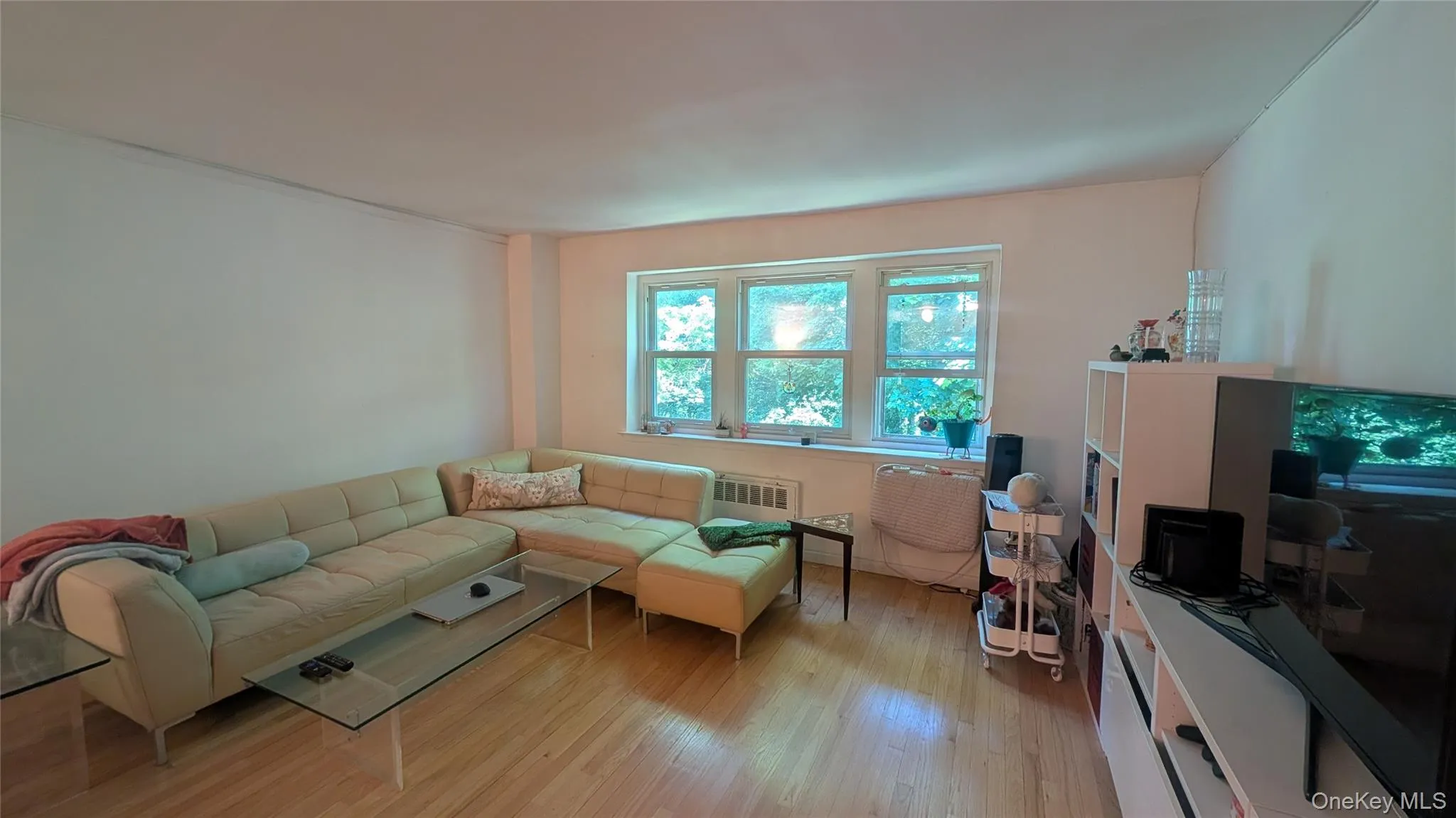 30 Pearsall Avenue, Glen Cove, NY, 1 Bedroom Bedrooms, 3 Rooms Rooms,1 BathroomBathrooms,Residential,For Rent,Pearsall,0,1005896 30 Pearsall Avenue, Glen Cove, NY, 1 Bedroom Bedrooms, 3 Rooms Rooms,1 BathroomBathrooms,Residential,For Rent,Pearsall,0,1005896