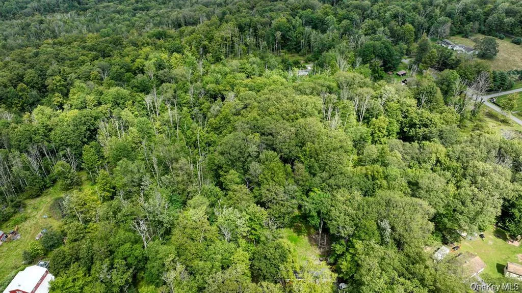 181 Oakridge Road, Wawarsing, NY, 2 Bedrooms Bedrooms, 4 Rooms Rooms,1 BathroomBathrooms,Residential,For Rent,Oakridge,0,1005899 181 Oakridge Road, Wawarsing, NY, 2 Bedrooms Bedrooms, 4 Rooms Rooms,1 BathroomBathrooms,Residential,For Rent,Oakridge,0,1005899