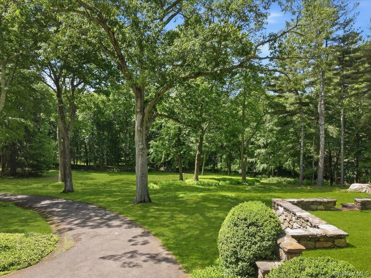 Front terrace and lovely trees from driveway Front terrace and lovely trees from driveway