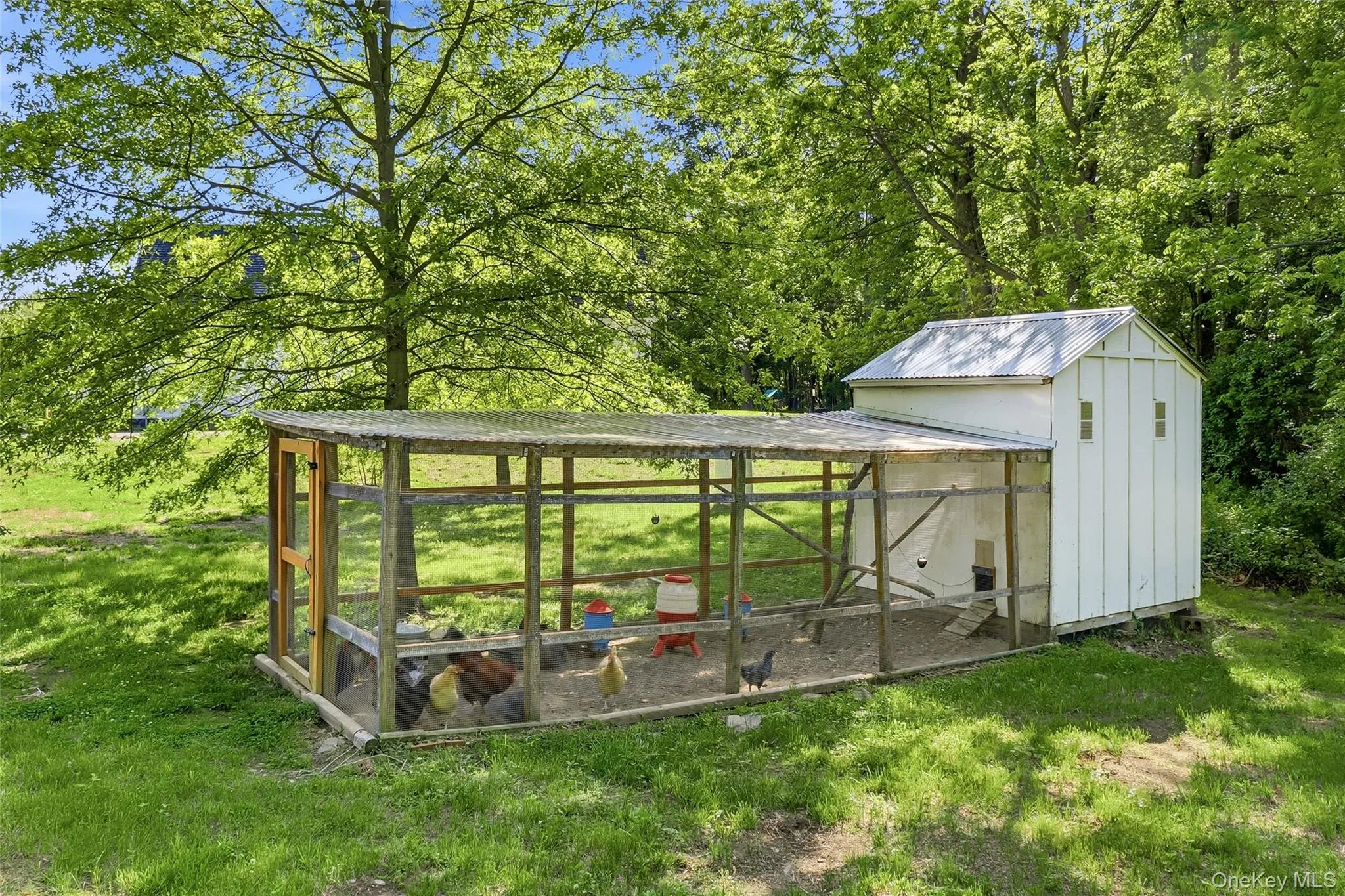 Charming chicken coop complementing the property's country appeal Charming chicken coop complementing the property's country appeal