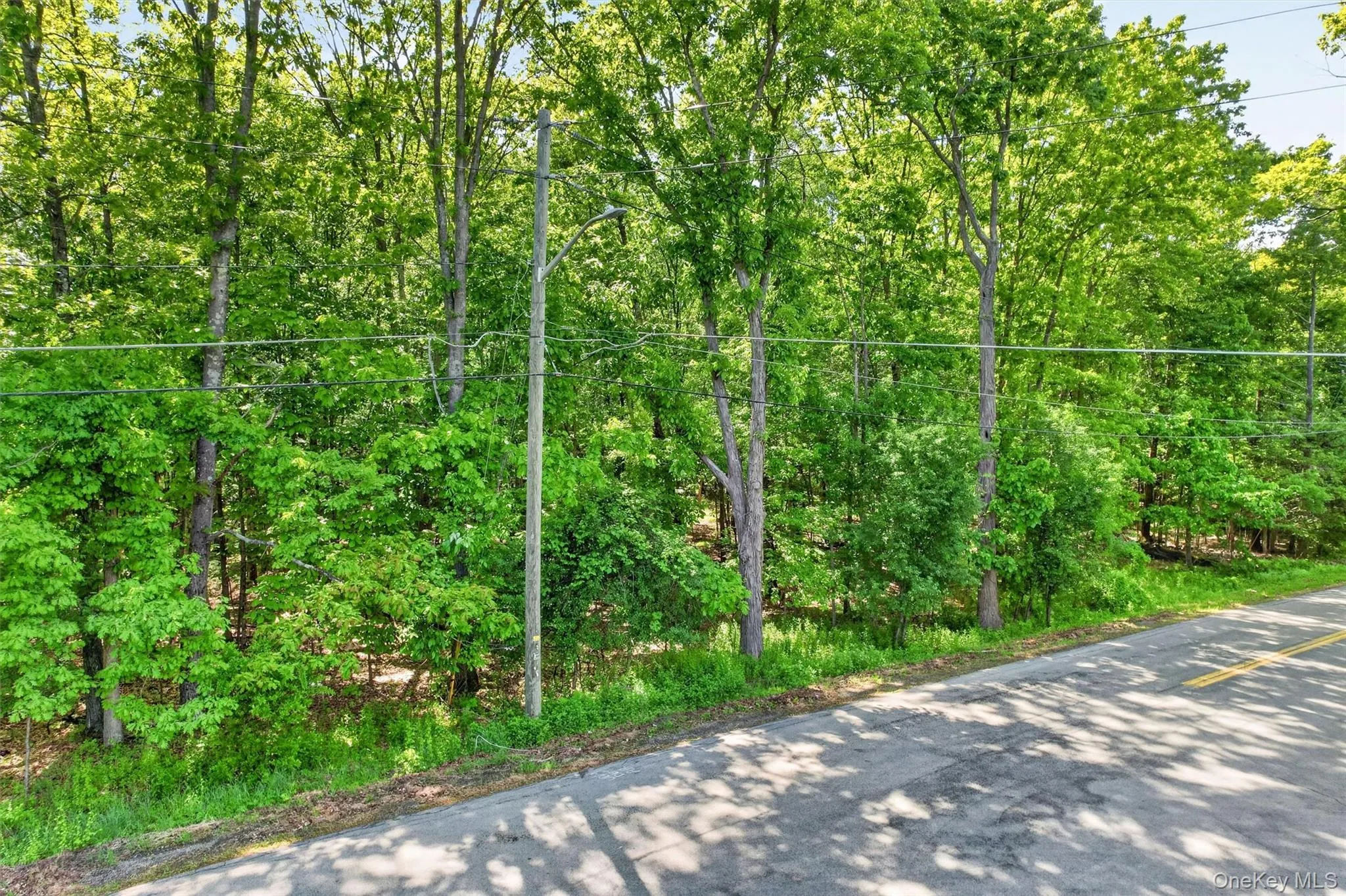 Dosen Road, Wallkill, NY, ,Land,For Rent,Dosen,0,1005907 Dosen Road, Wallkill, NY, ,Land,For Rent,Dosen,0,1005907