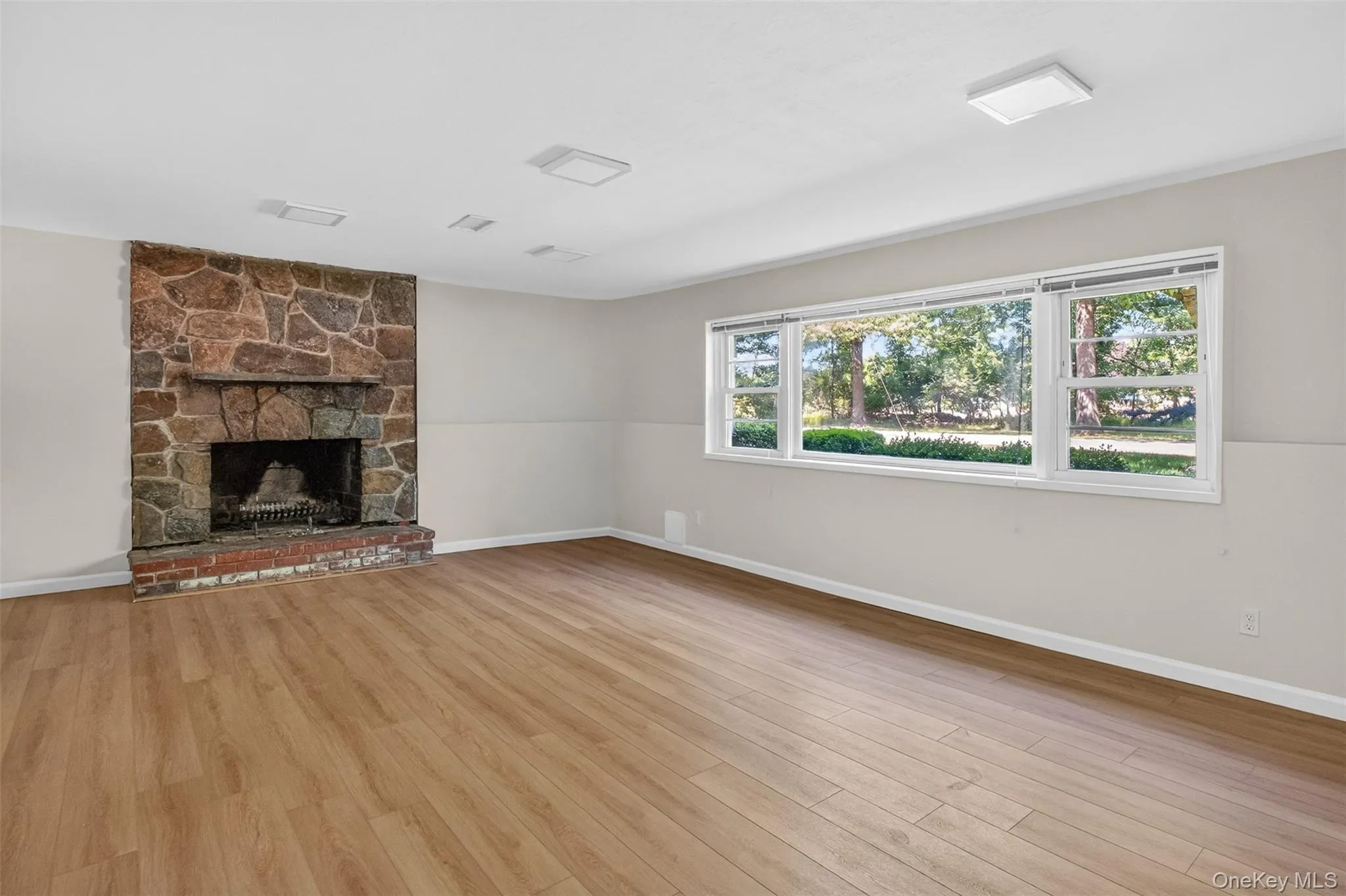 Lower Level Family room/wood burning FRPLC Lower Level Family room/wood burning FRPLC