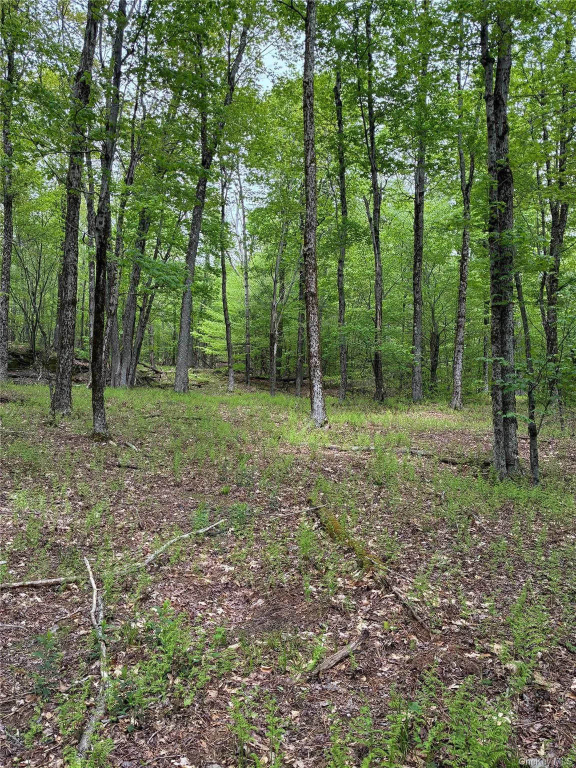 1 Mountain lake Road, Andes, NY, ,Land,For Rent,Mountain lake,0,1005926 1 Mountain lake Road, Andes, NY, ,Land,For Rent,Mountain lake,0,1005926