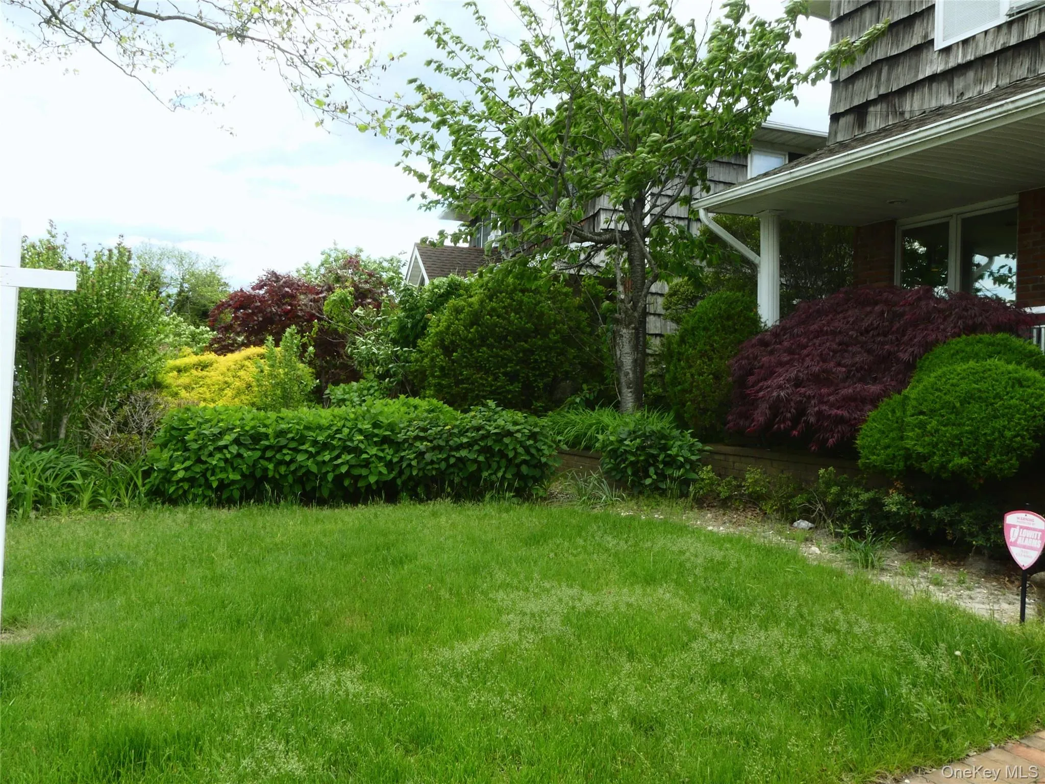 front yard front yard