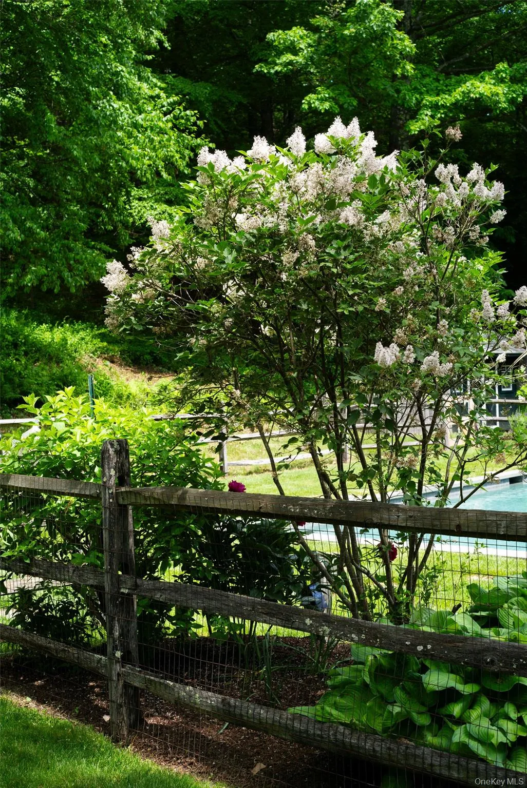 85 Frost Road, Rhinebeck, NY, 1 Bedroom Bedrooms, 1 Room Rooms,1 BathroomBathrooms,Residential,For Rent,Frost,0,1005937 85 Frost Road, Rhinebeck, NY, 1 Bedroom Bedrooms, 1 Room Rooms,1 BathroomBathrooms,Residential,For Rent,Frost,0,1005937