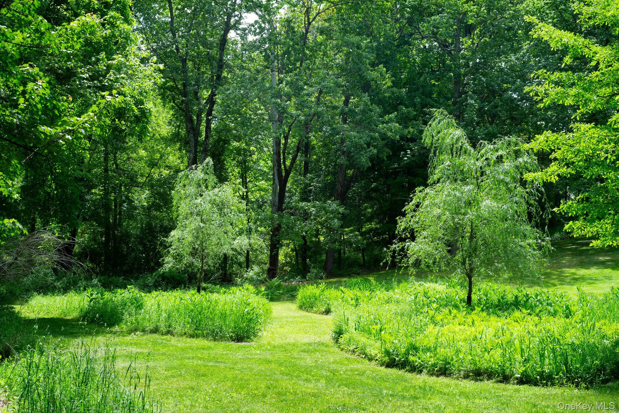85 Frost Road, Rhinebeck, NY, 1 Bedroom Bedrooms, 1 Room Rooms,1 BathroomBathrooms,Residential,For Rent,Frost,0,1005937 85 Frost Road, Rhinebeck, NY, 1 Bedroom Bedrooms, 1 Room Rooms,1 BathroomBathrooms,Residential,For Rent,Frost,0,1005937