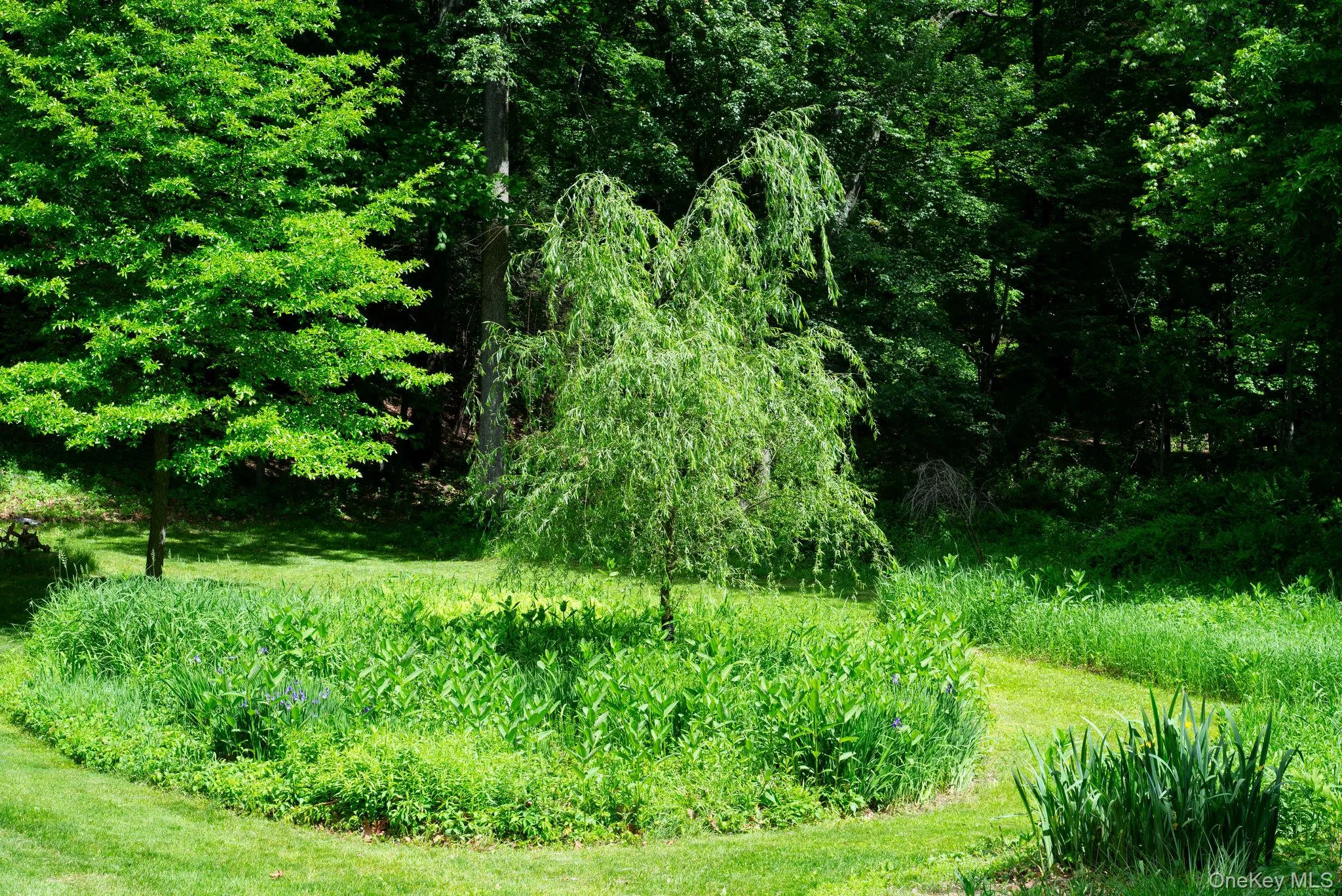 85 Frost Road, Rhinebeck, NY, 1 Bedroom Bedrooms, 1 Room Rooms,1 BathroomBathrooms,Residential,For Rent,Frost,0,1005937 85 Frost Road, Rhinebeck, NY, 1 Bedroom Bedrooms, 1 Room Rooms,1 BathroomBathrooms,Residential,For Rent,Frost,0,1005937