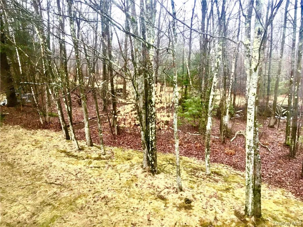 42 Krier Lane, Thompson, NY, 2 Bedrooms Bedrooms, 7 Rooms Rooms,1 BathroomBathrooms,Residential Lease,For Rent,Krier,0,1005942 42 Krier Lane, Thompson, NY, 2 Bedrooms Bedrooms, 7 Rooms Rooms,1 BathroomBathrooms,Residential Lease,For Rent,Krier,0,1005942