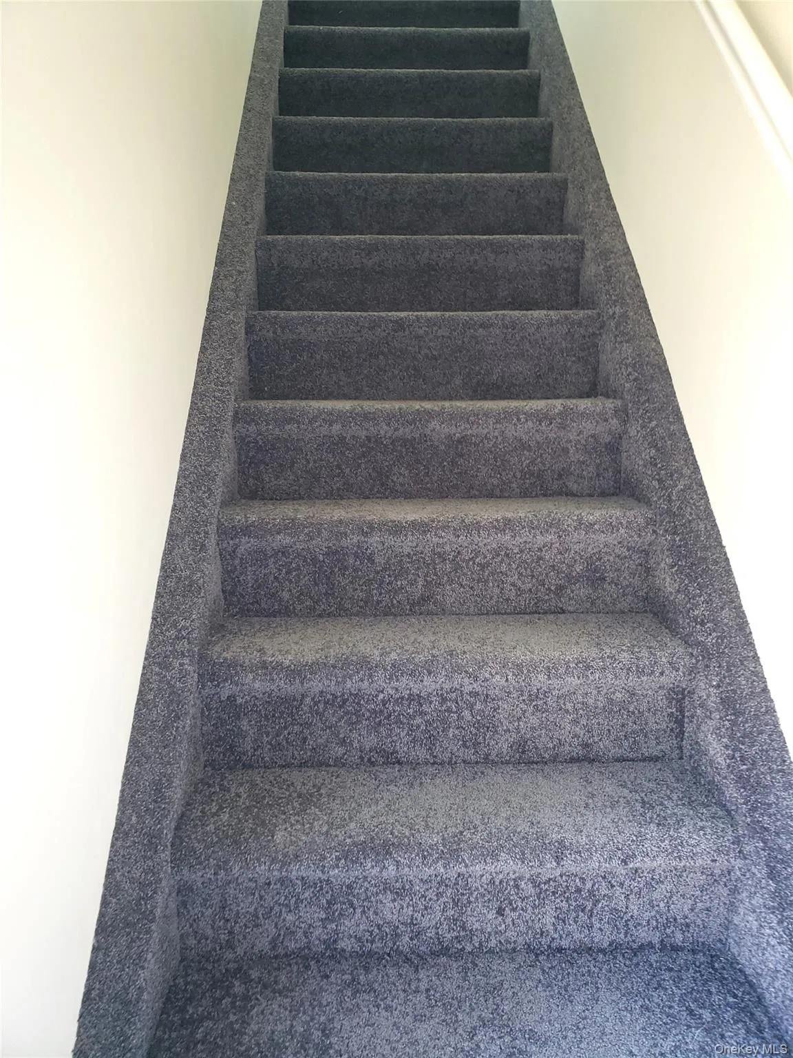 Stairs To Apartment w/New Carpet Stairs To Apartment w/New Carpet