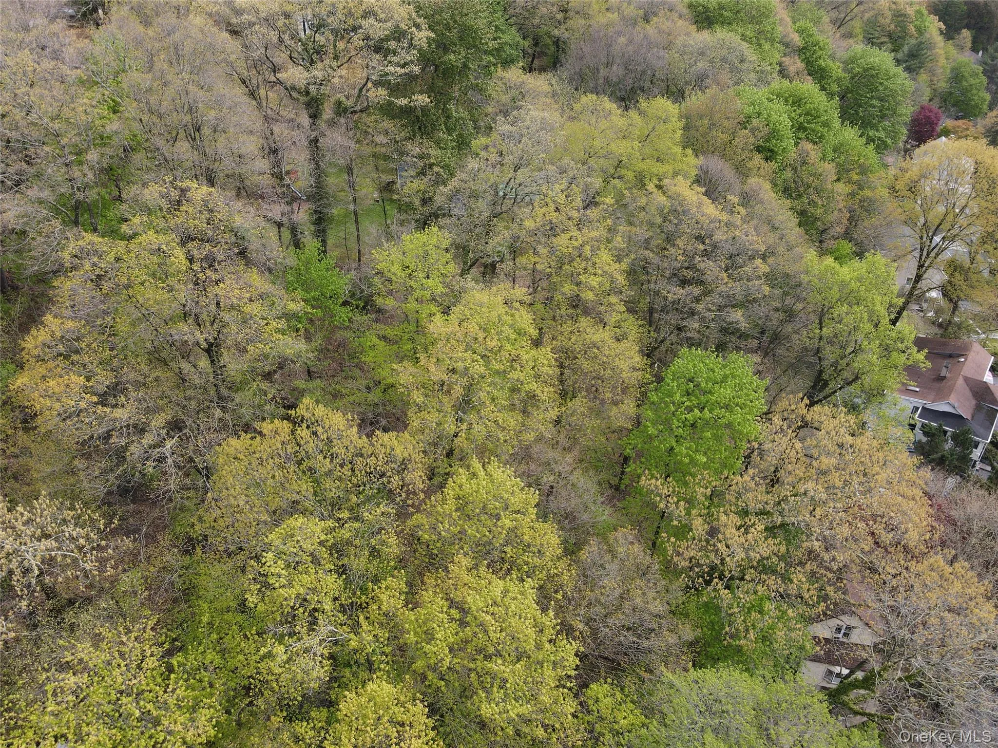 Vacant land assemblage Lots 91–94 Vacant land assemblage Lots 91–94