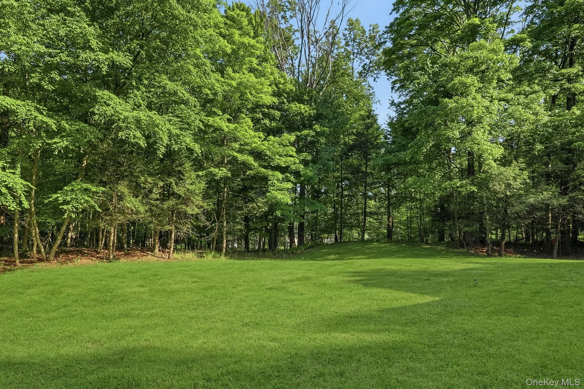 145 Youngblood Road, Montgomery, NY, 6 Bedrooms Bedrooms, 11 Rooms Rooms,3 BathroomsBathrooms,Residential,For Rent,Youngblood,0,1006008 145 Youngblood Road, Montgomery, NY, 6 Bedrooms Bedrooms, 11 Rooms Rooms,3 BathroomsBathrooms,Residential,For Rent,Youngblood,0,1006008