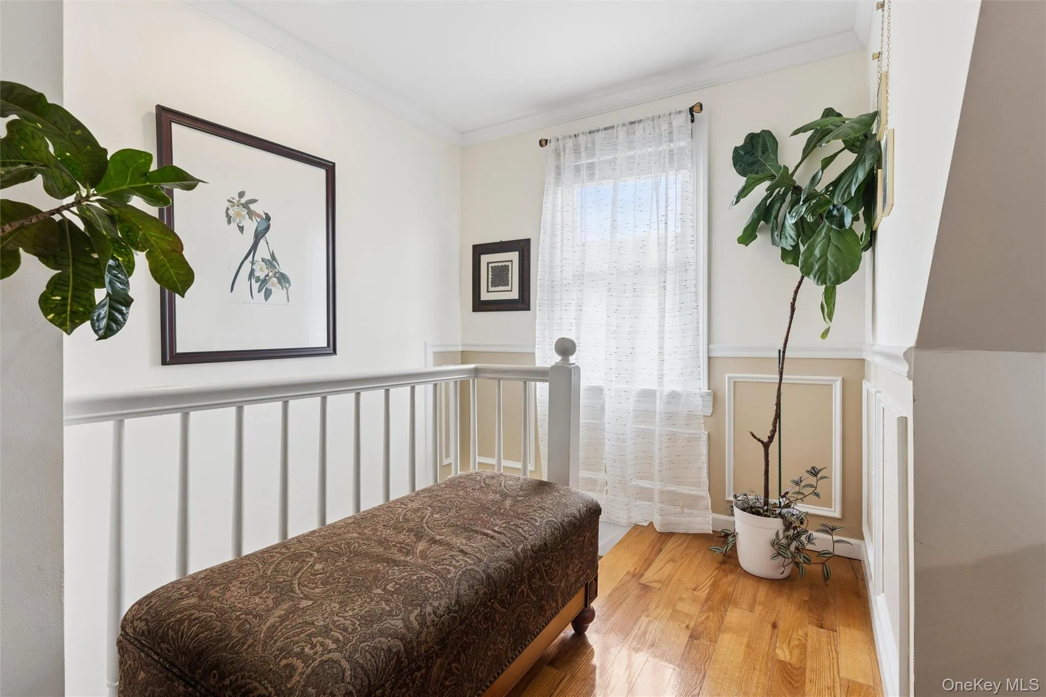 119-37 235th Street, New York, NY, 3 Bedrooms Bedrooms, 7 Rooms Rooms,3 BathroomsBathrooms,Residential,For Rent,235th,0,1006021 119-37 235th Street, New York, NY, 3 Bedrooms Bedrooms, 7 Rooms Rooms,3 BathroomsBathrooms,Residential,For Rent,235th,0,1006021