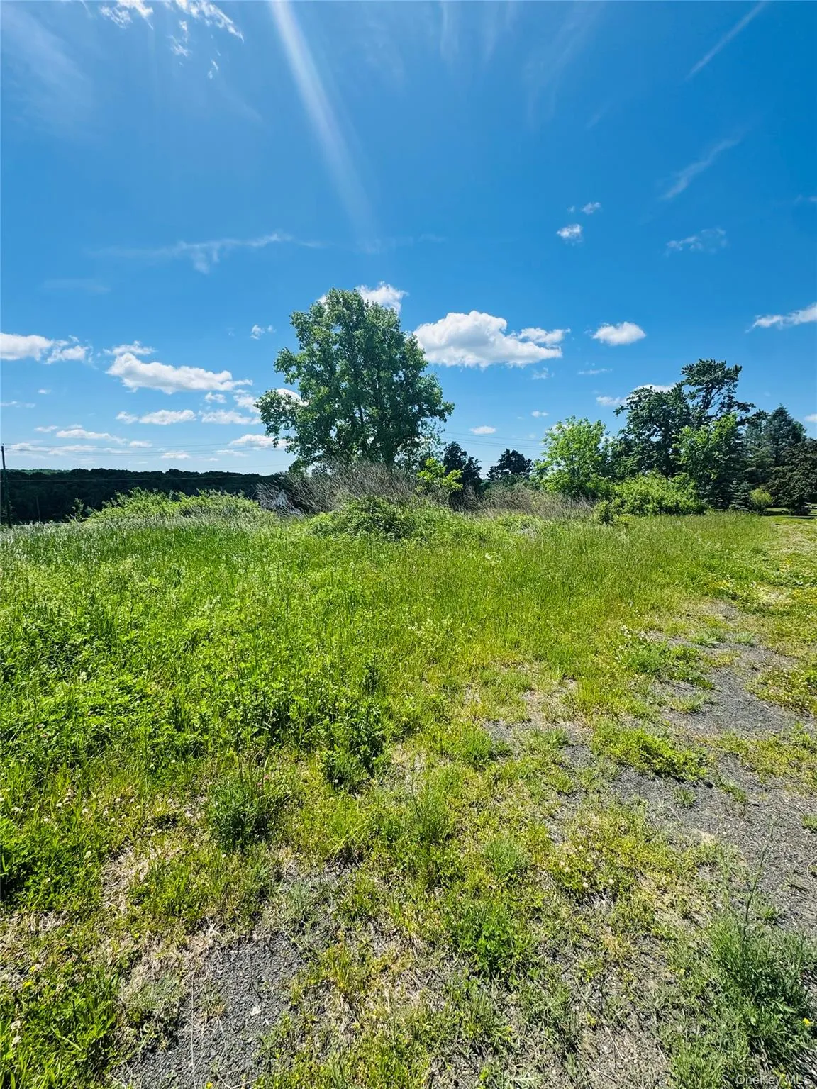 700 Van Burenville Road, Middletown, NY, ,Land,For Rent,Van Burenville,0,1006039 700 Van Burenville Road, Middletown, NY, ,Land,For Rent,Van Burenville,0,1006039