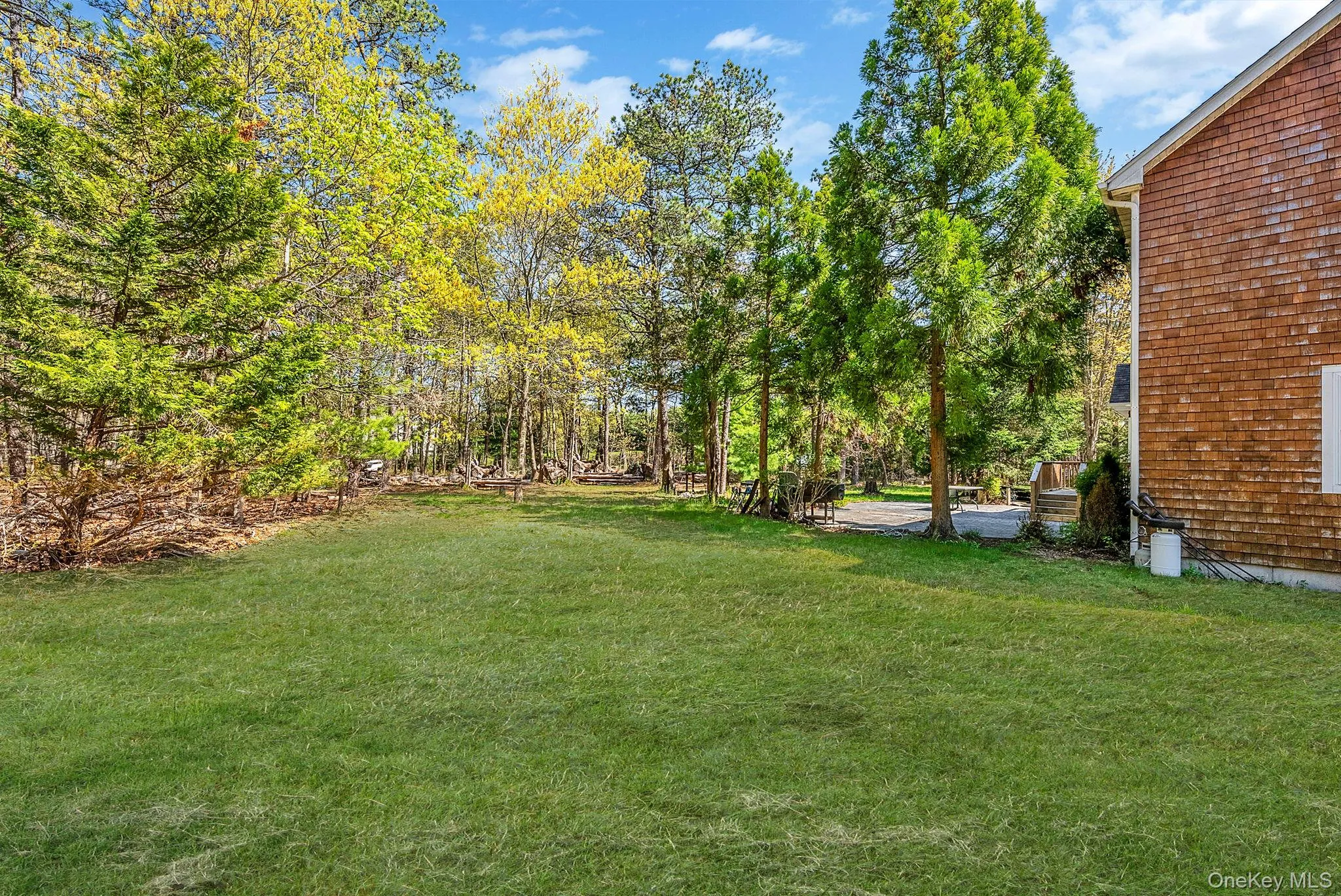 41 Cozine Road, Brookhaven, NY, 4 Bedrooms Bedrooms, 13 Rooms Rooms,2 BathroomsBathrooms,Residential,For Rent,Cozine,0,1006089 41 Cozine Road, Brookhaven, NY, 4 Bedrooms Bedrooms, 13 Rooms Rooms,2 BathroomsBathrooms,Residential,For Rent,Cozine,0,1006089