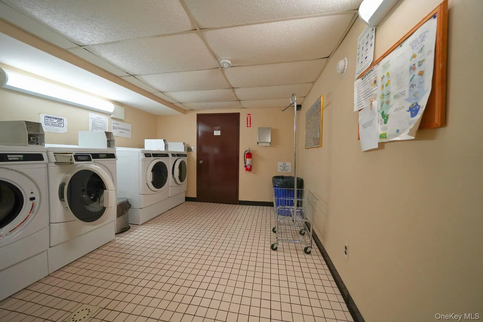 6236 59th Drive, New York, NY, 2 Bedrooms Bedrooms, 5 Rooms Rooms,1 BathroomBathrooms,Residential,For Rent,59th,0,1006092 6236 59th Drive, New York, NY, 2 Bedrooms Bedrooms, 5 Rooms Rooms,1 BathroomBathrooms,Residential,For Rent,59th,0,1006092