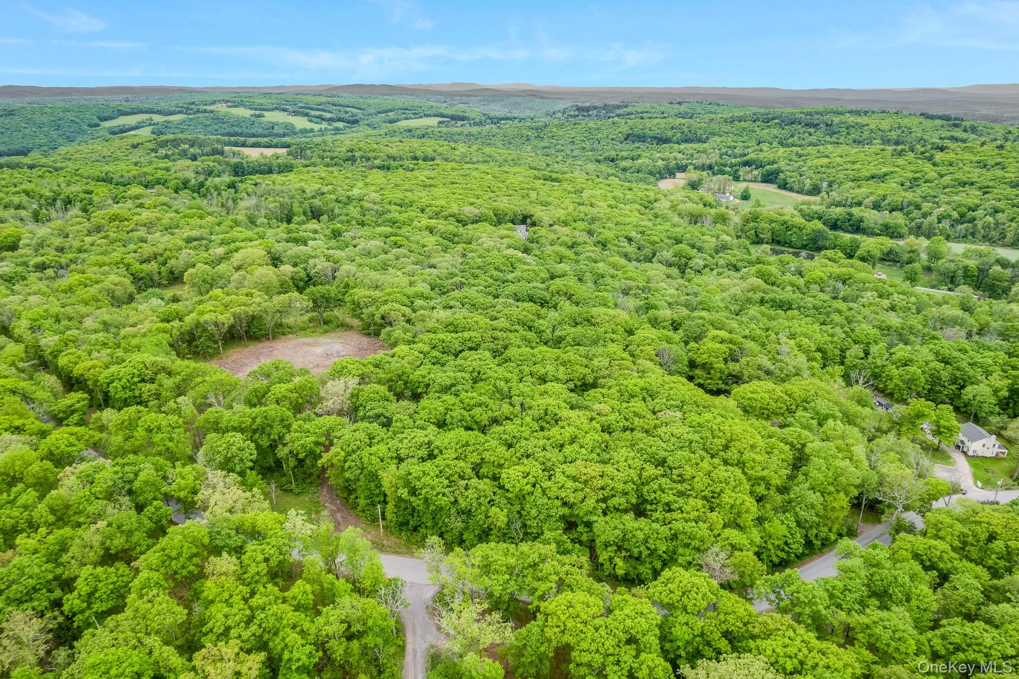101 Tower Hill Road, Washington, NY, 4 Bedrooms Bedrooms, 16 Rooms Rooms,5 BathroomsBathrooms,Residential,For Rent,Tower Hill,0,1006093 101 Tower Hill Road, Washington, NY, 4 Bedrooms Bedrooms, 16 Rooms Rooms,5 BathroomsBathrooms,Residential,For Rent,Tower Hill,0,1006093