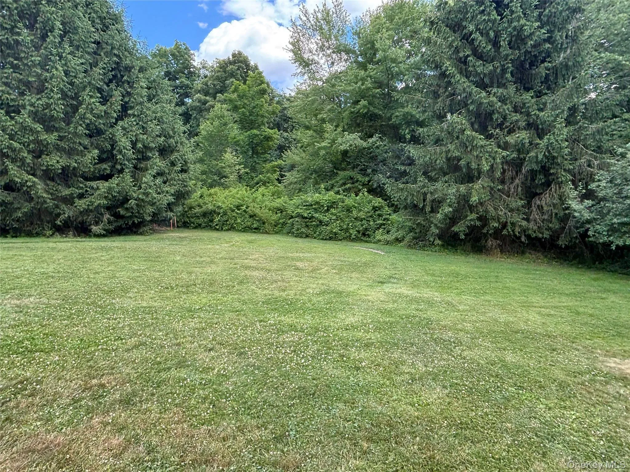 8 Trillium Road, Pleasant Valley, NY, 3 Bedrooms Bedrooms, 6 Rooms Rooms,2 BathroomsBathrooms,Residential,For Rent,Trillium,0,1006136 8 Trillium Road, Pleasant Valley, NY, 3 Bedrooms Bedrooms, 6 Rooms Rooms,2 BathroomsBathrooms,Residential,For Rent,Trillium,0,1006136