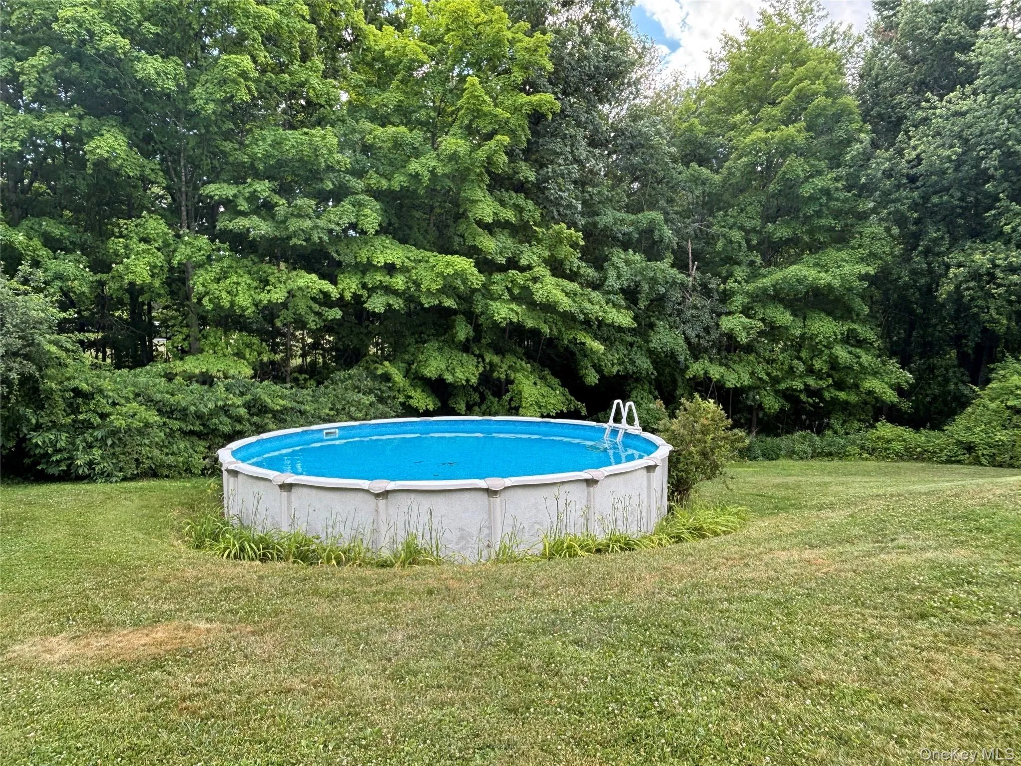 8 Trillium Road, Pleasant Valley, NY, 3 Bedrooms Bedrooms, 6 Rooms Rooms,2 BathroomsBathrooms,Residential,For Rent,Trillium,0,1006136 8 Trillium Road, Pleasant Valley, NY, 3 Bedrooms Bedrooms, 6 Rooms Rooms,2 BathroomsBathrooms,Residential,For Rent,Trillium,0,1006136