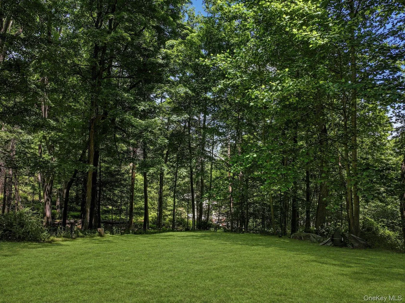 5 Buroak Drive, East Fishkill, NY, 3 Bedrooms Bedrooms, 7 Rooms Rooms,3 BathroomsBathrooms,Residential,For Rent,Buroak,0,1006162 5 Buroak Drive, East Fishkill, NY, 3 Bedrooms Bedrooms, 7 Rooms Rooms,3 BathroomsBathrooms,Residential,For Rent,Buroak,0,1006162