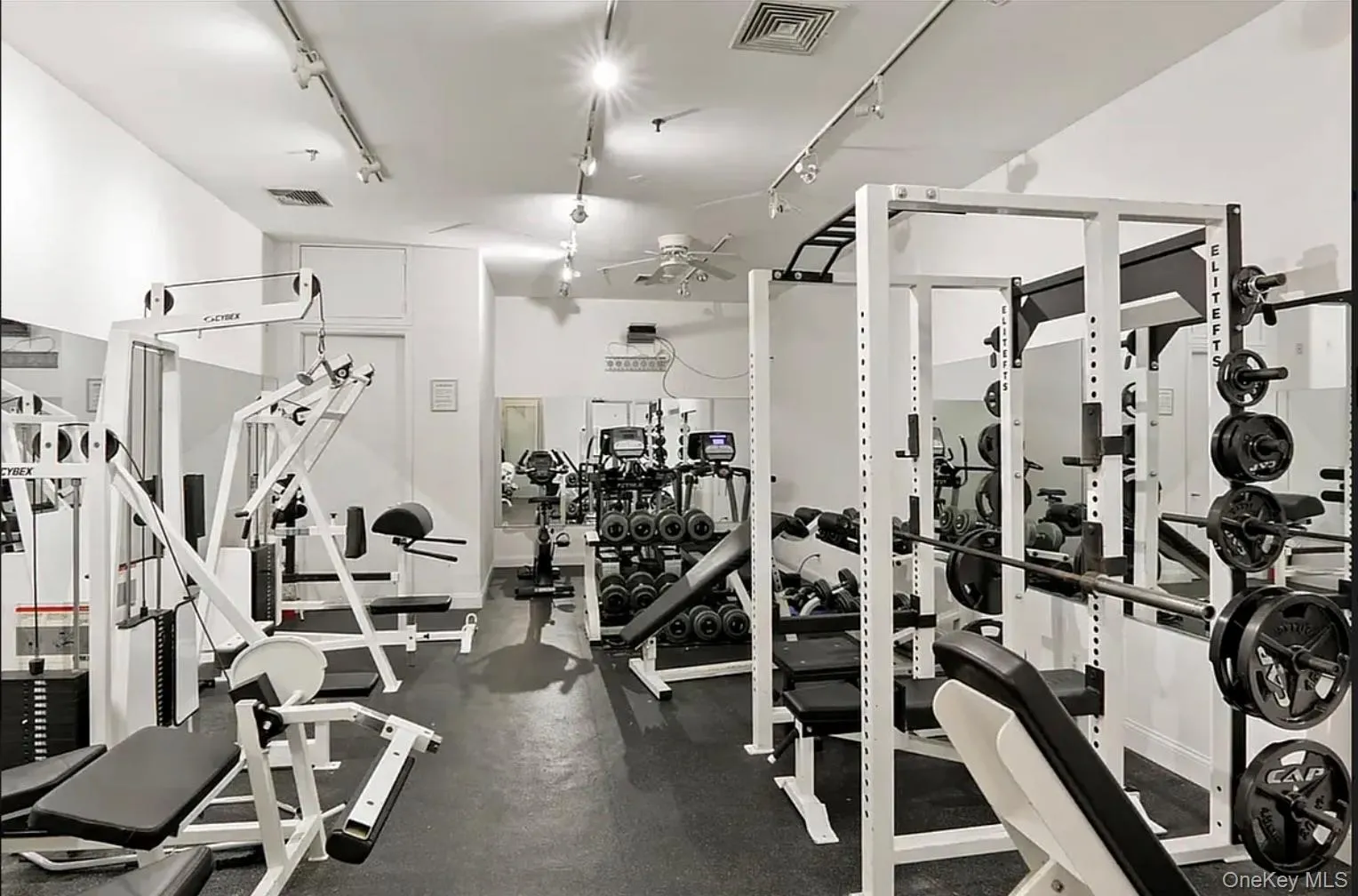 176 Johnson Street, New York, NY, 1 Bedroom Bedrooms, 1 Room Rooms,1 BathroomBathrooms,Residential Lease,For Rent,Johnson,0,1006165 176 Johnson Street, New York, NY, 1 Bedroom Bedrooms, 1 Room Rooms,1 BathroomBathrooms,Residential Lease,For Rent,Johnson,0,1006165