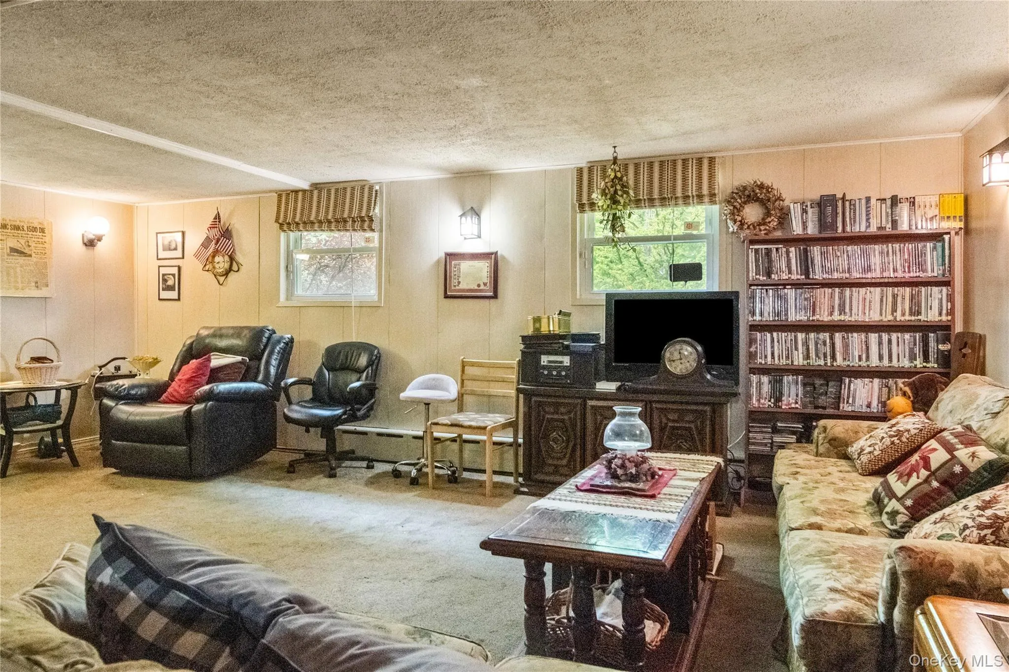Family Room in the basement Family Room in the basement