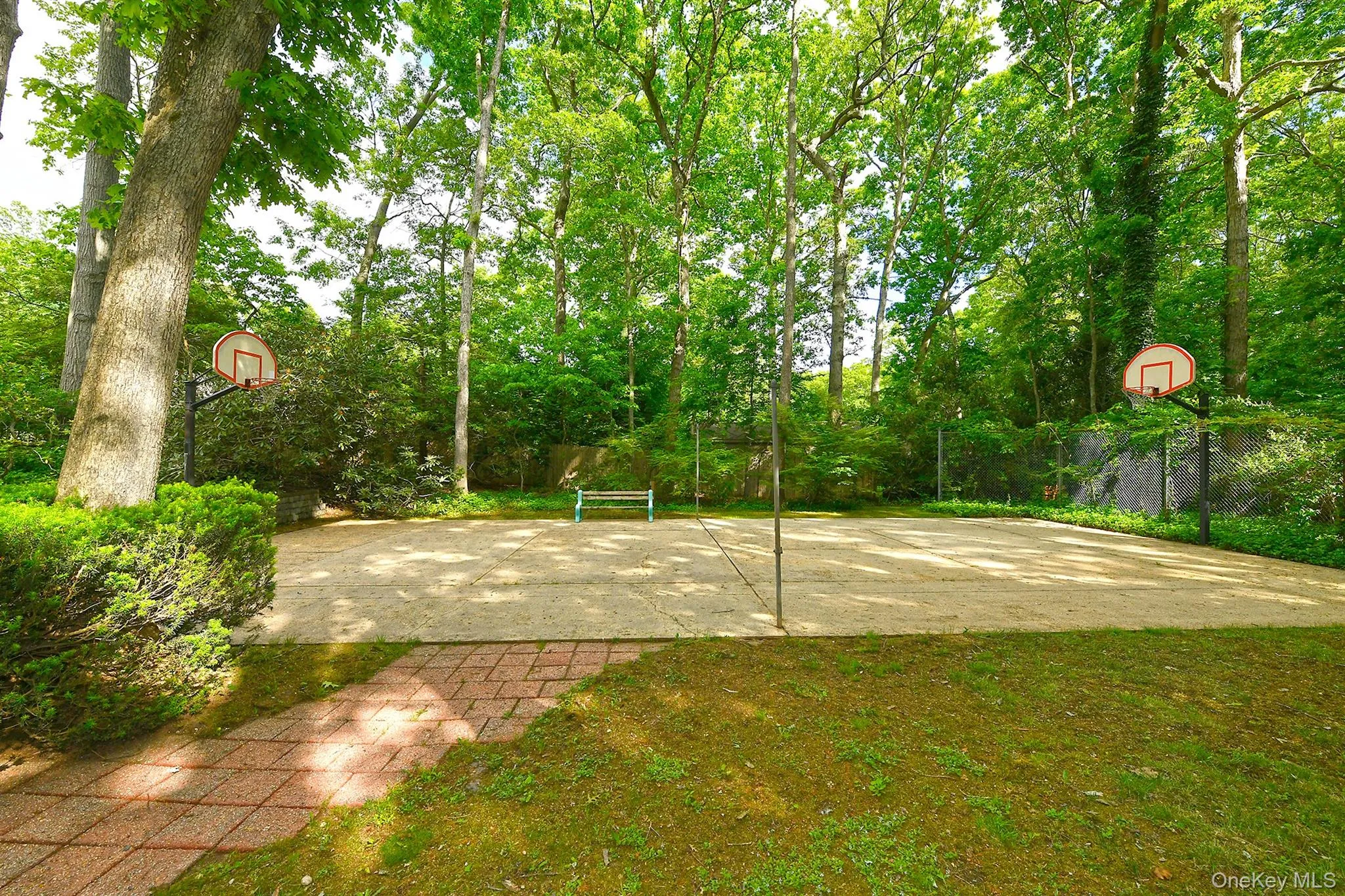 21 Craig Drive, Huntington, NY, 3 Bedrooms Bedrooms, 8 Rooms Rooms,2 BathroomsBathrooms,Residential,For Rent,Craig,0,1006271 21 Craig Drive, Huntington, NY, 3 Bedrooms Bedrooms, 8 Rooms Rooms,2 BathroomsBathrooms,Residential,For Rent,Craig,0,1006271
