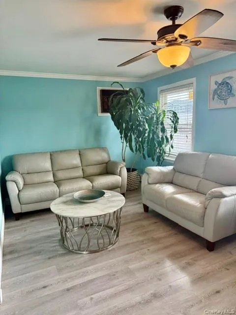 1601 Cross Bay Boulevard, New York, NY, 3 Bedrooms Bedrooms, 6 Rooms Rooms,2 BathroomsBathrooms,Residential,For Rent,Cross Bay,0,1006289 1601 Cross Bay Boulevard, New York, NY, 3 Bedrooms Bedrooms, 6 Rooms Rooms,2 BathroomsBathrooms,Residential,For Rent,Cross Bay,0,1006289