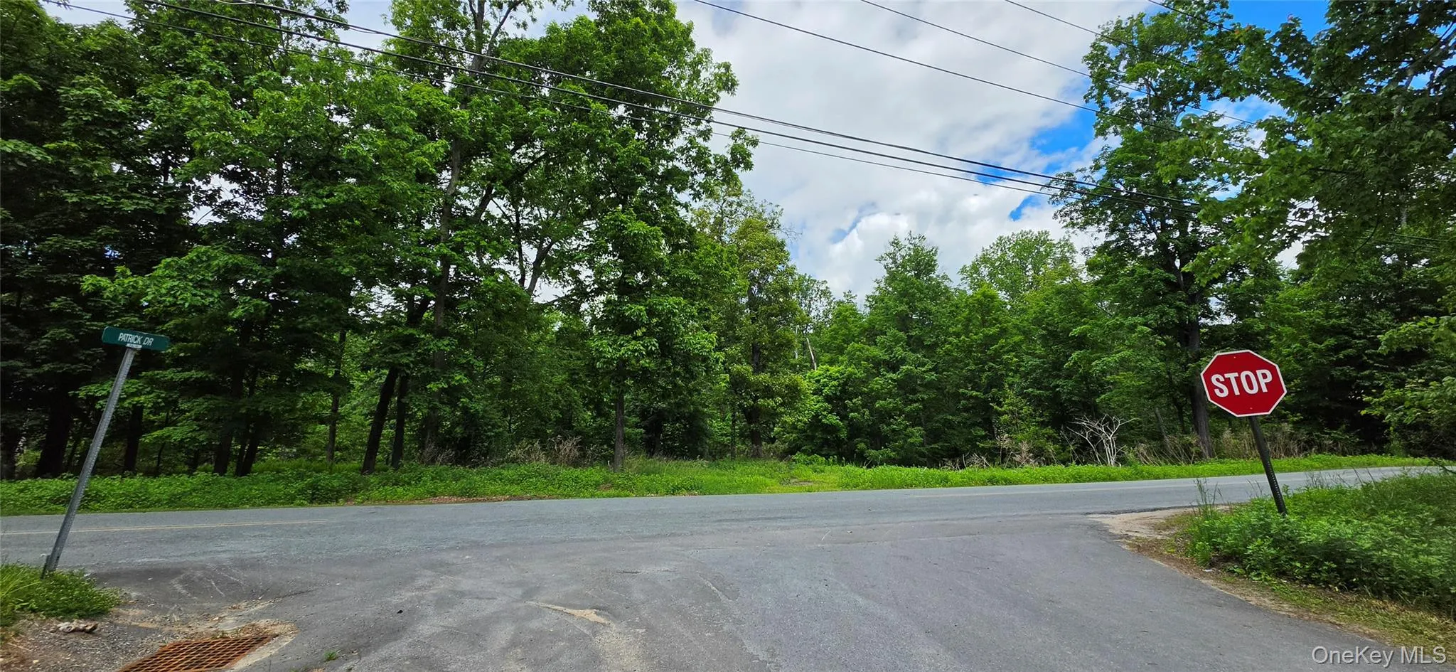 00 Ski Run Road, Mamakating, NY, ,Land,For Rent,Ski Run,0,1006332 00 Ski Run Road, Mamakating, NY, ,Land,For Rent,Ski Run,0,1006332