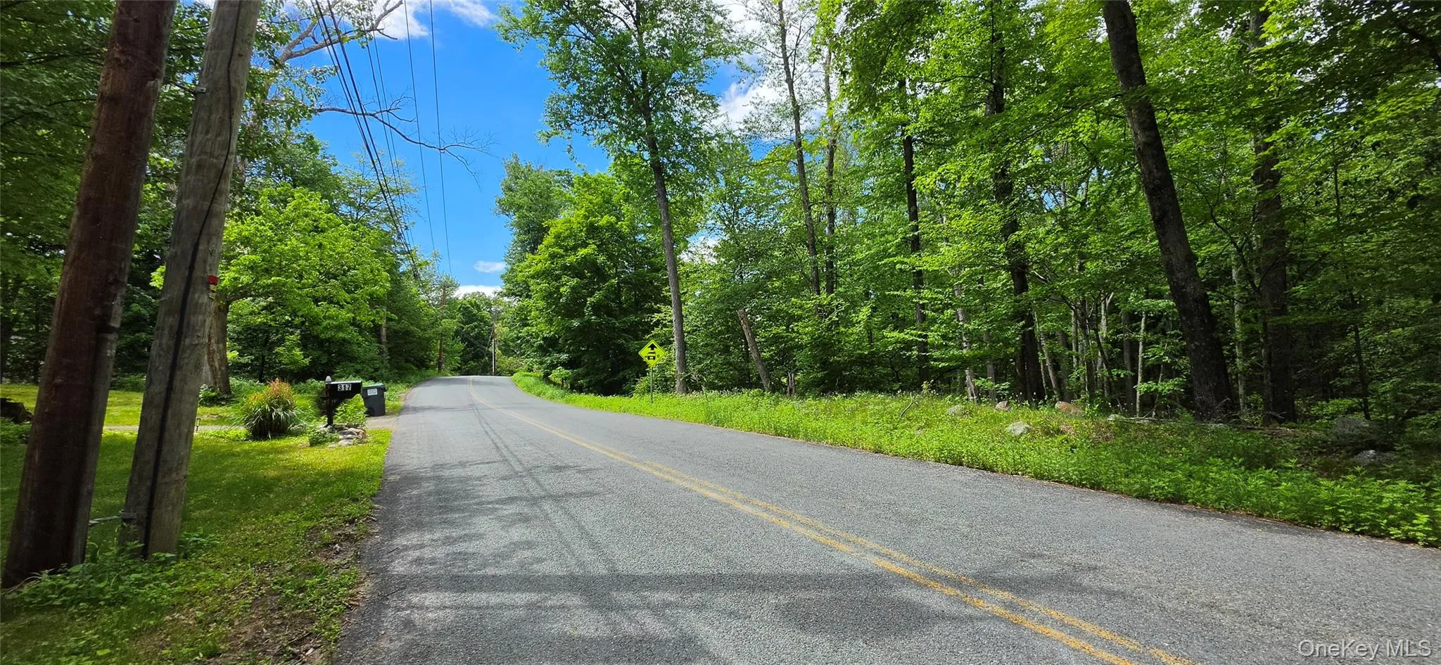 00 Ski Run Road, Mamakating, NY, ,Land,For Rent,Ski Run,0,1006332 00 Ski Run Road, Mamakating, NY, ,Land,For Rent,Ski Run,0,1006332
