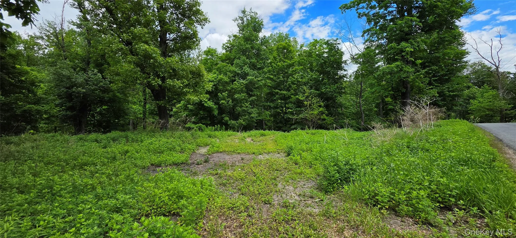 00 Ski Run Road, Mamakating, NY, ,Land,For Rent,Ski Run,0,1006332 00 Ski Run Road, Mamakating, NY, ,Land,For Rent,Ski Run,0,1006332