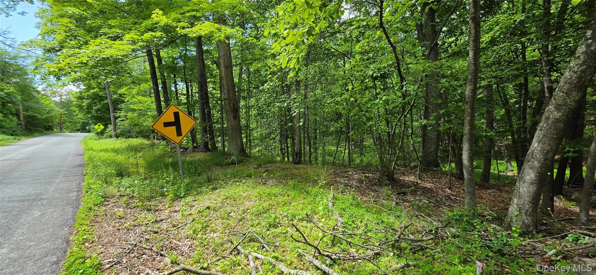 00 Ski Run Road, Mamakating, NY, ,Land,For Rent,Ski Run,0,1006332 00 Ski Run Road, Mamakating, NY, ,Land,For Rent,Ski Run,0,1006332