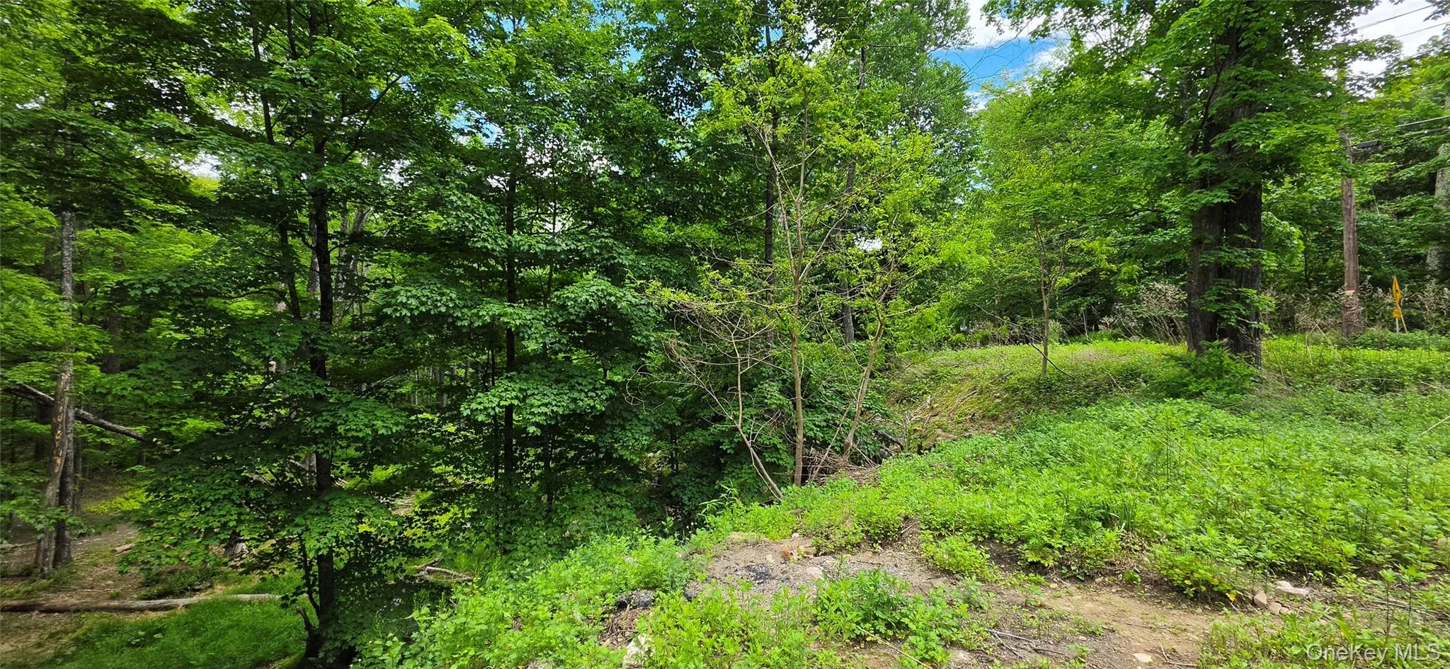 00 Ski Run Road, Mamakating, NY, ,Land,For Rent,Ski Run,0,1006332 00 Ski Run Road, Mamakating, NY, ,Land,For Rent,Ski Run,0,1006332