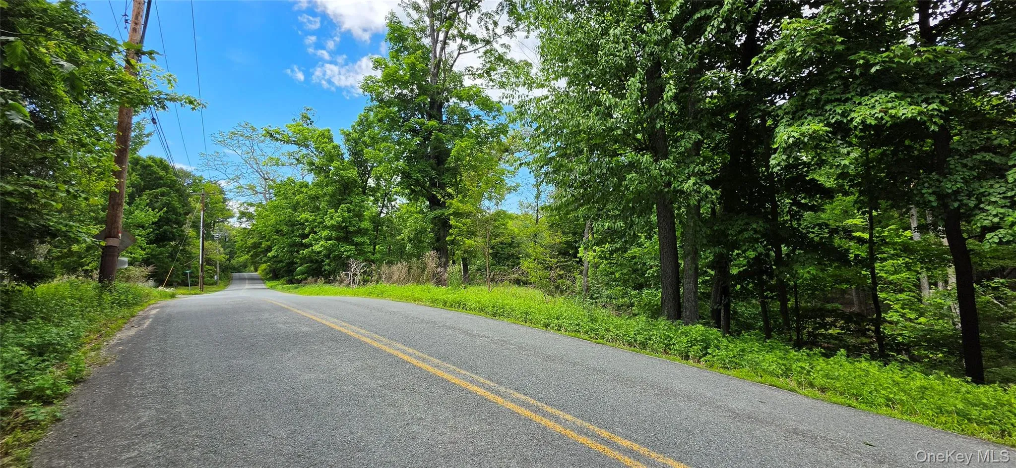 00 Ski Run Road, Mamakating, NY, ,Land,For Rent,Ski Run,0,1006332 00 Ski Run Road, Mamakating, NY, ,Land,For Rent,Ski Run,0,1006332