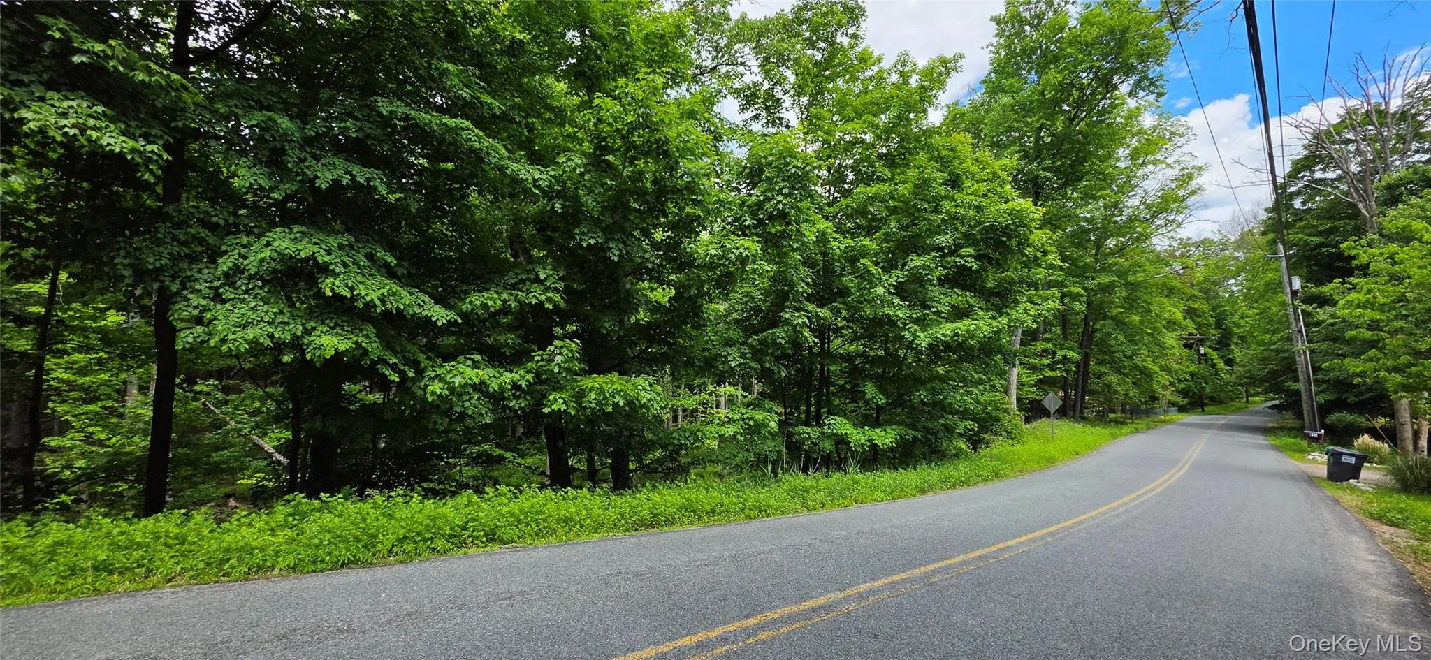 00 Ski Run Road, Mamakating, NY, ,Land,For Rent,Ski Run,0,1006332 00 Ski Run Road, Mamakating, NY, ,Land,For Rent,Ski Run,0,1006332