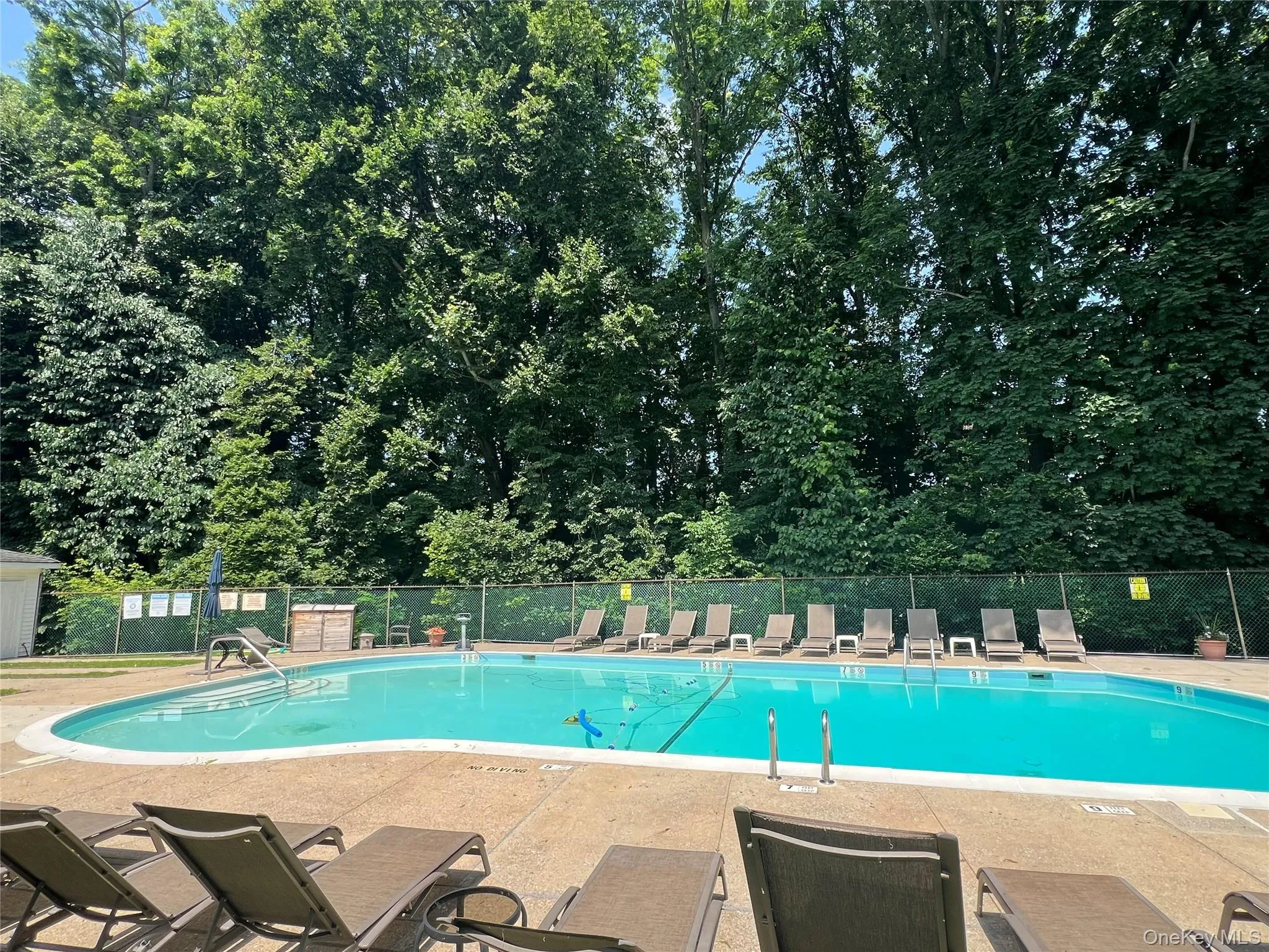 Pool for the residence Pool for the residence