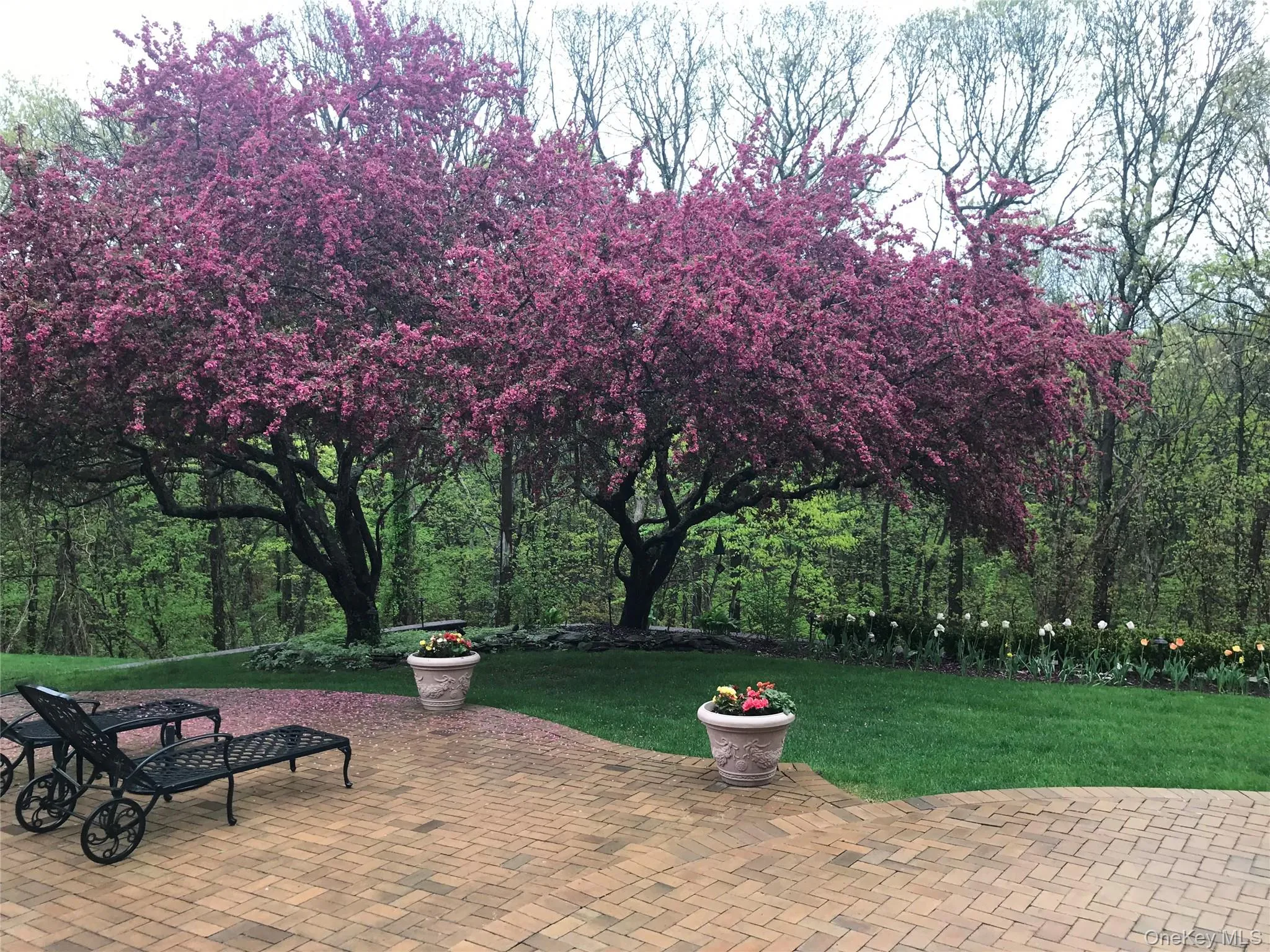 39 Tamara Court, Huntington, NY, 4 Bedrooms Bedrooms, 9 Rooms Rooms,2 BathroomsBathrooms,Residential,For Rent,Tamara,0,KEY1006361 39 Tamara Court, Huntington, NY, 4 Bedrooms Bedrooms, 9 Rooms Rooms,2 BathroomsBathrooms,Residential,For Rent,Tamara,0,KEY1006361