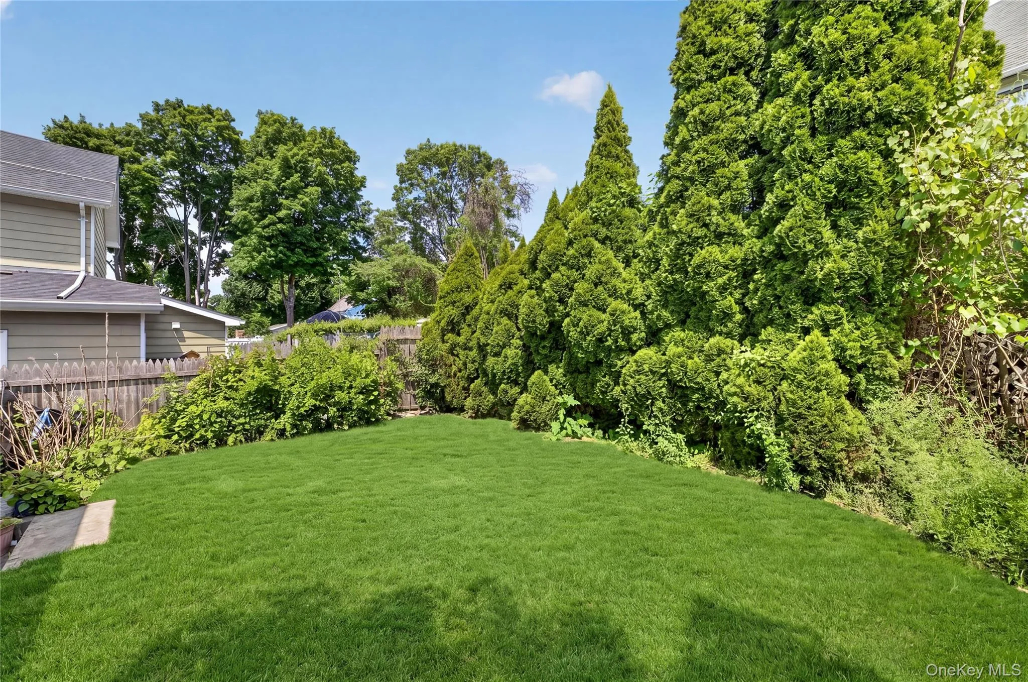 level backyard level backyard