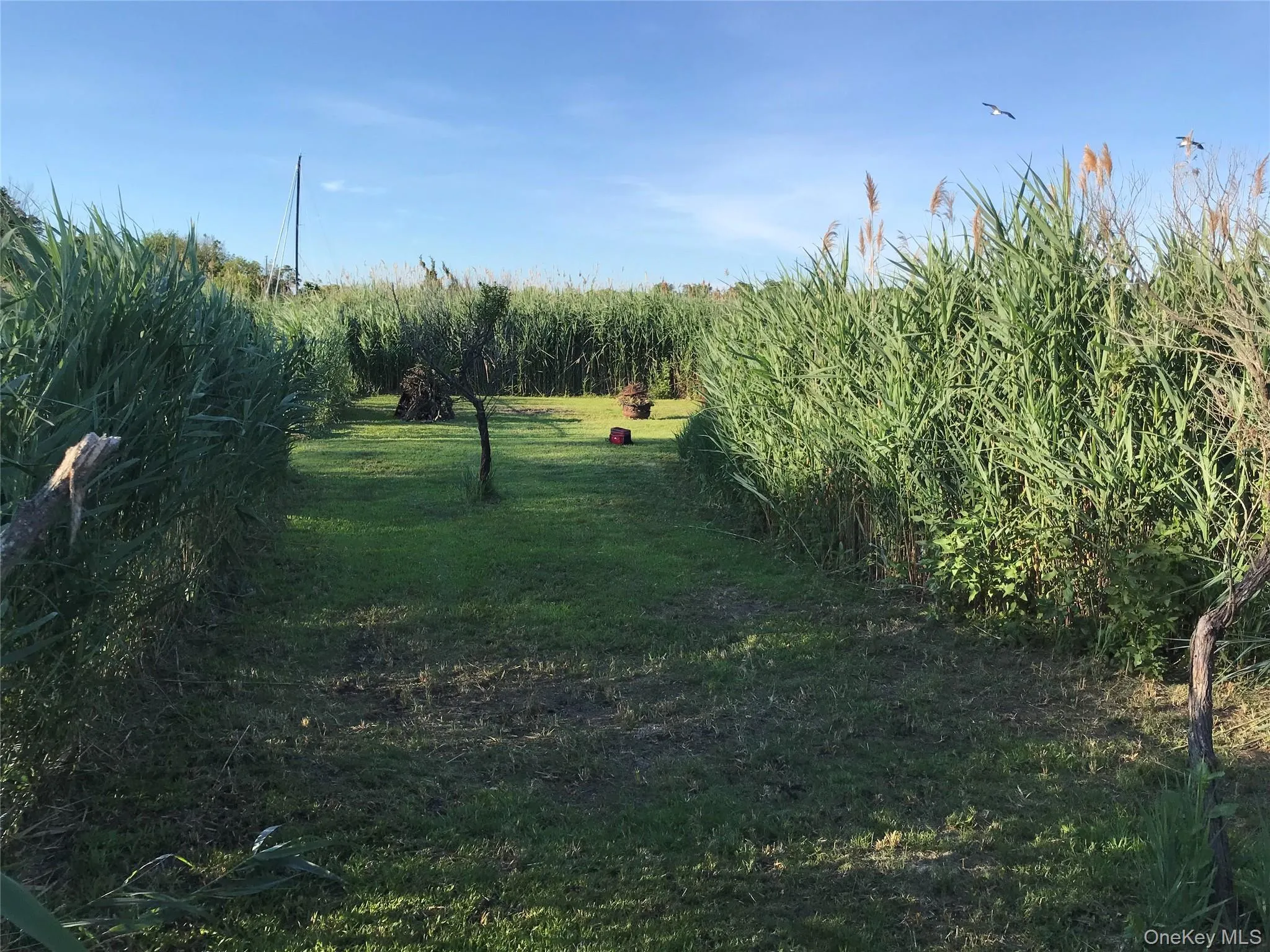 VL Johns Neck Road, Brookhaven, NY, ,Land,For Rent,Johns Neck,0,1006388 VL Johns Neck Road, Brookhaven, NY, ,Land,For Rent,Johns Neck,0,1006388