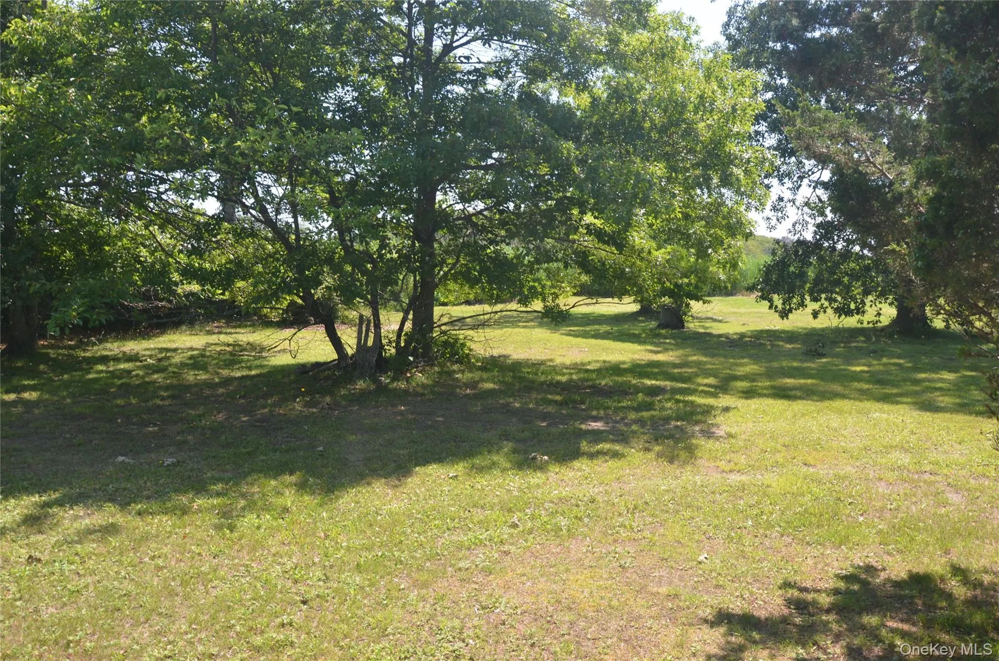 VL Johns Neck Road, Brookhaven, NY, ,Land,For Rent,Johns Neck,0,1006388 VL Johns Neck Road, Brookhaven, NY, ,Land,For Rent,Johns Neck,0,1006388