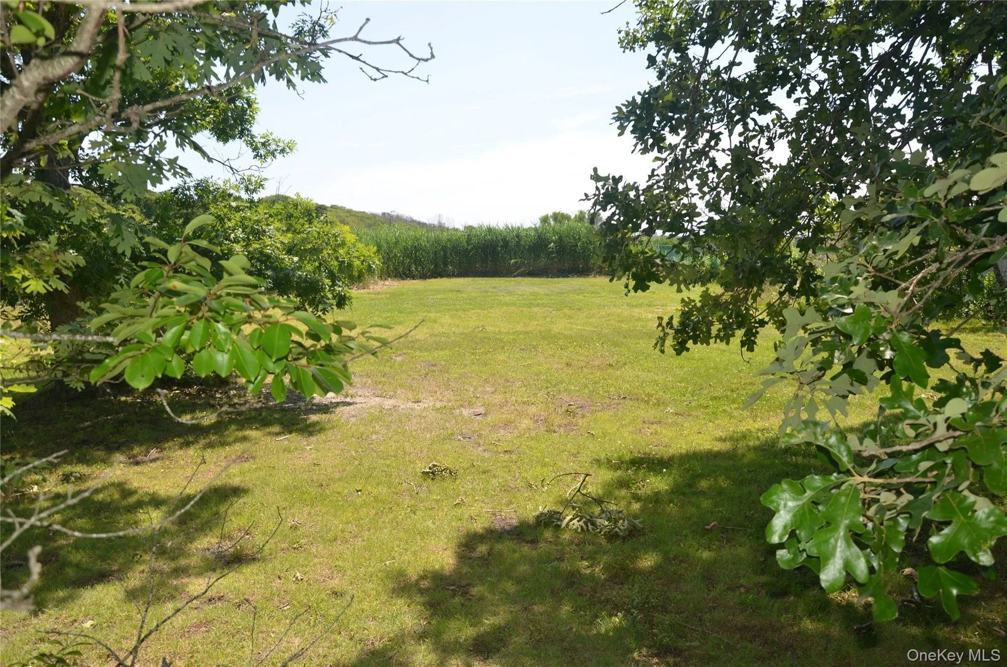 VL Johns Neck Road, Brookhaven, NY, ,Land,For Rent,Johns Neck,0,1006388 VL Johns Neck Road, Brookhaven, NY, ,Land,For Rent,Johns Neck,0,1006388