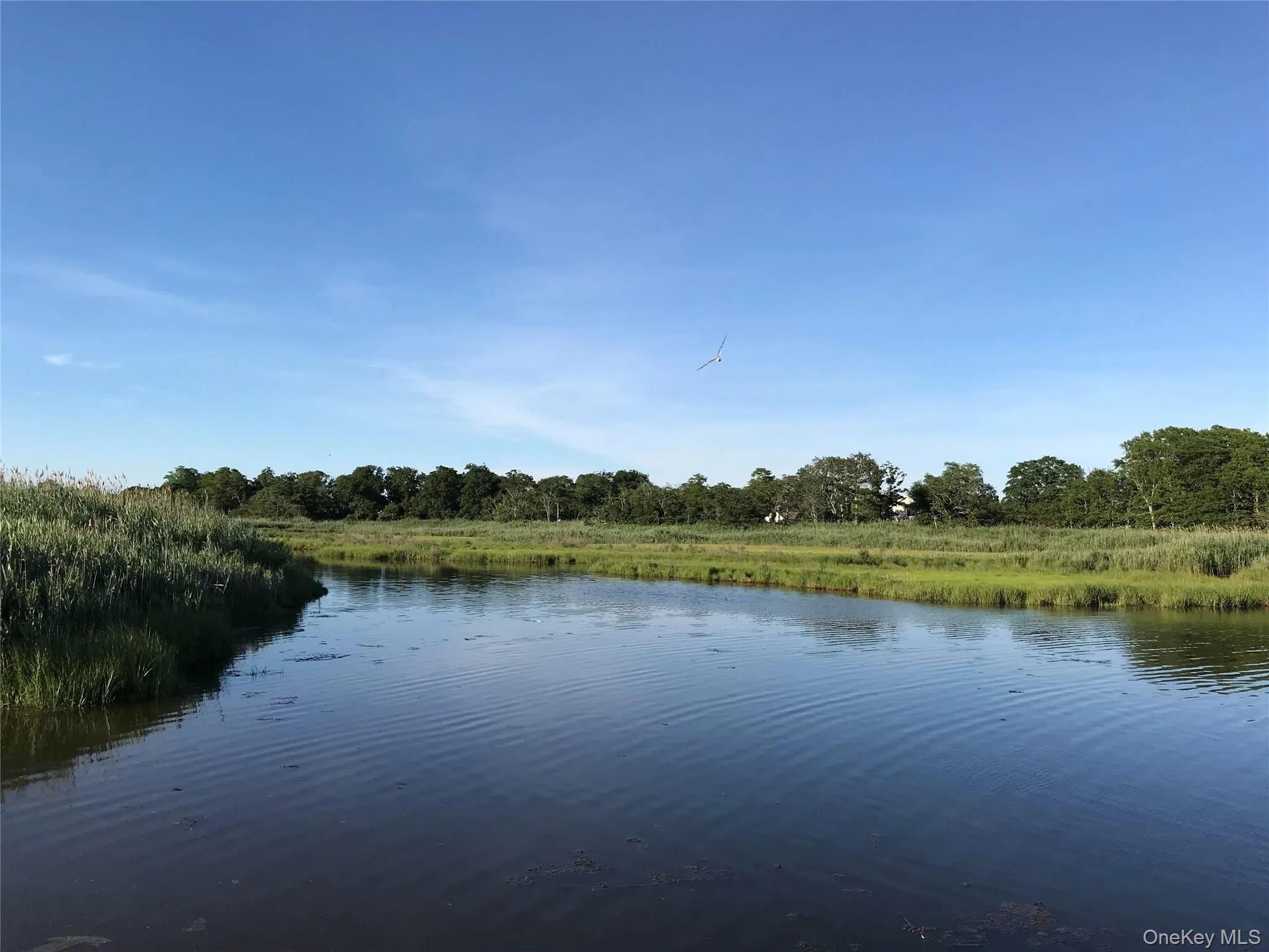 VL Johns Neck Road, Brookhaven, NY, ,Land,For Rent,Johns Neck,0,1006388 VL Johns Neck Road, Brookhaven, NY, ,Land,For Rent,Johns Neck,0,1006388