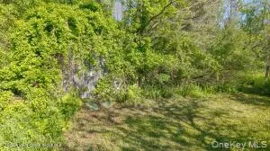 884 Camby Road, Union Vale, NY, 2 Bedrooms Bedrooms, 4 Rooms Rooms,1 BathroomBathrooms,Residential,For Rent,Camby,0,1006396 884 Camby Road, Union Vale, NY, 2 Bedrooms Bedrooms, 4 Rooms Rooms,1 BathroomBathrooms,Residential,For Rent,Camby,0,1006396