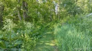 884 Camby Road, Union Vale, NY, 2 Bedrooms Bedrooms, 4 Rooms Rooms,1 BathroomBathrooms,Residential,For Rent,Camby,0,1006396 884 Camby Road, Union Vale, NY, 2 Bedrooms Bedrooms, 4 Rooms Rooms,1 BathroomBathrooms,Residential,For Rent,Camby,0,1006396